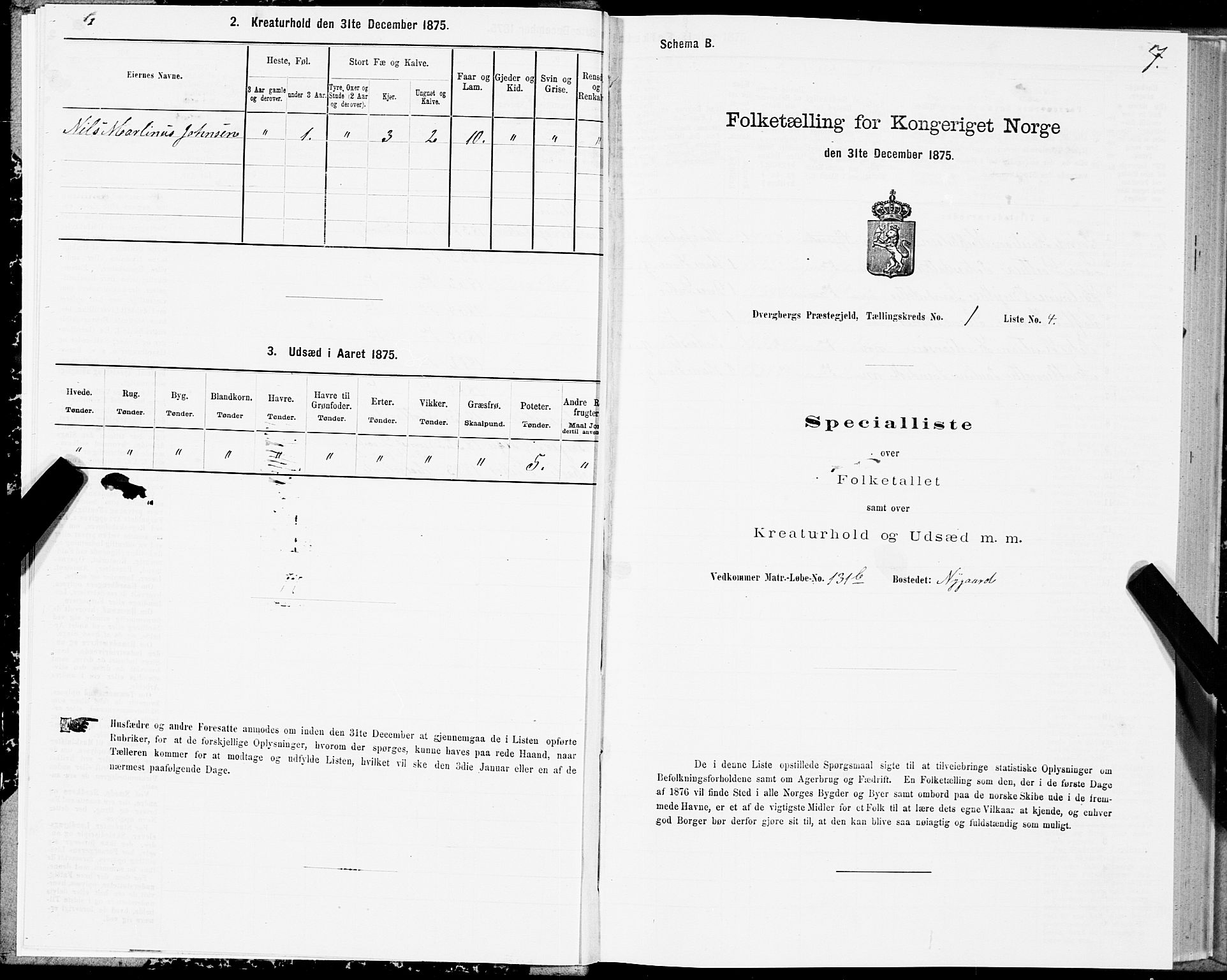 SAT, Folketelling 1875 for 1872P Dverberg prestegjeld, 1875, s. 1007