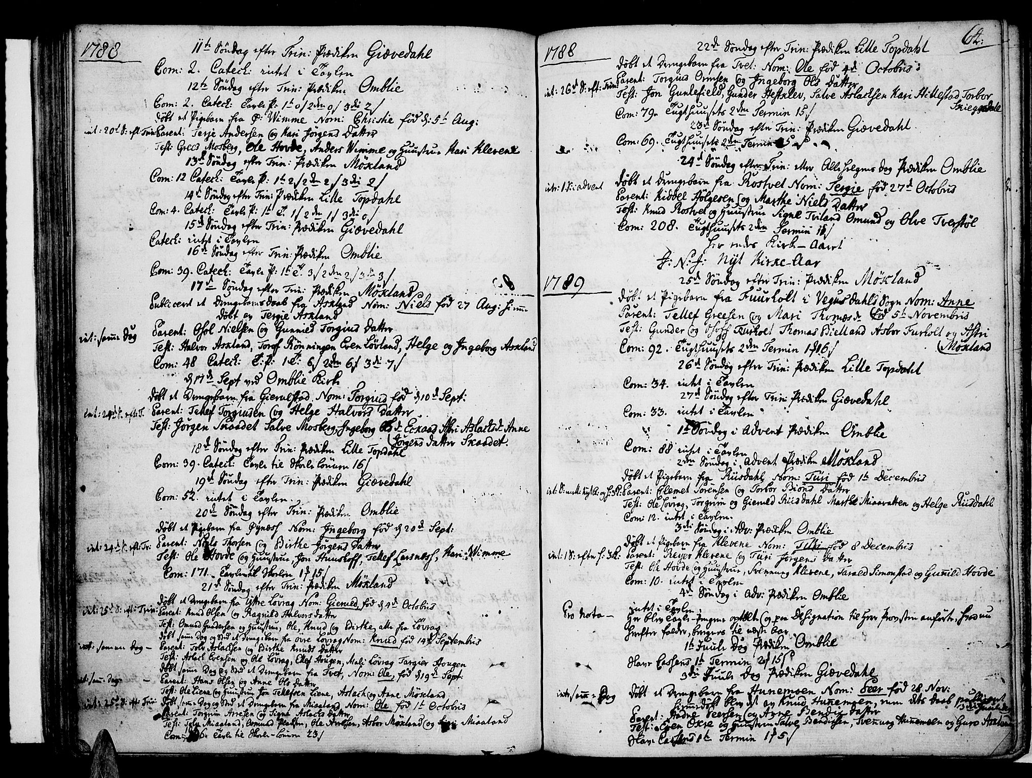 Åmli sokneprestkontor, AV/SAK-1111-0050/F/Fa/Fac/L0004: Ministerialbok nr. A 4, 1775-1796, s. 64