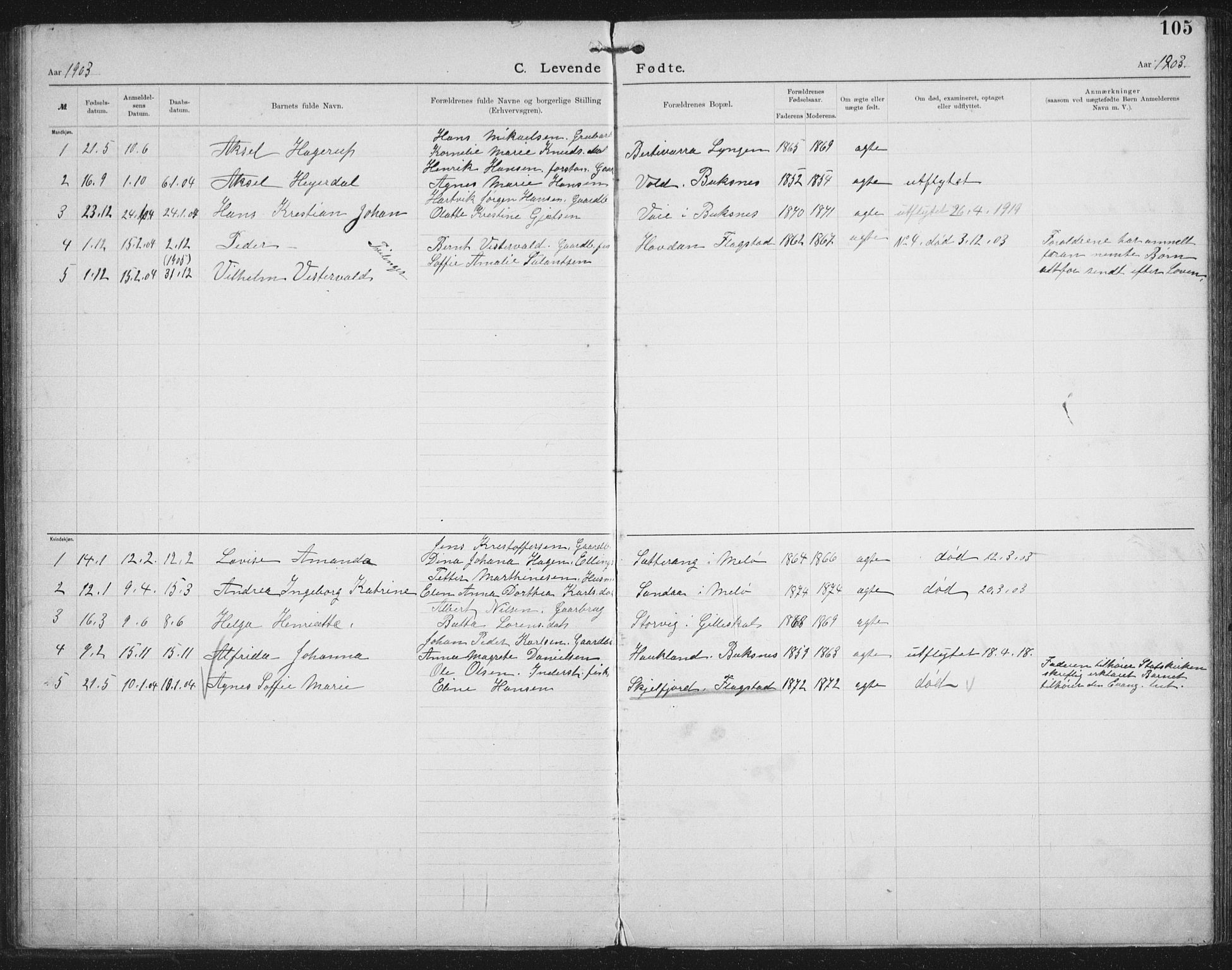 Ministerialprotokoller, klokkerbøker og fødselsregistre - Nordland, AV/SAT-A-1459/881/L1174: Dissenterprotokoll nr. 881D01, 1891-1933, s. 105
