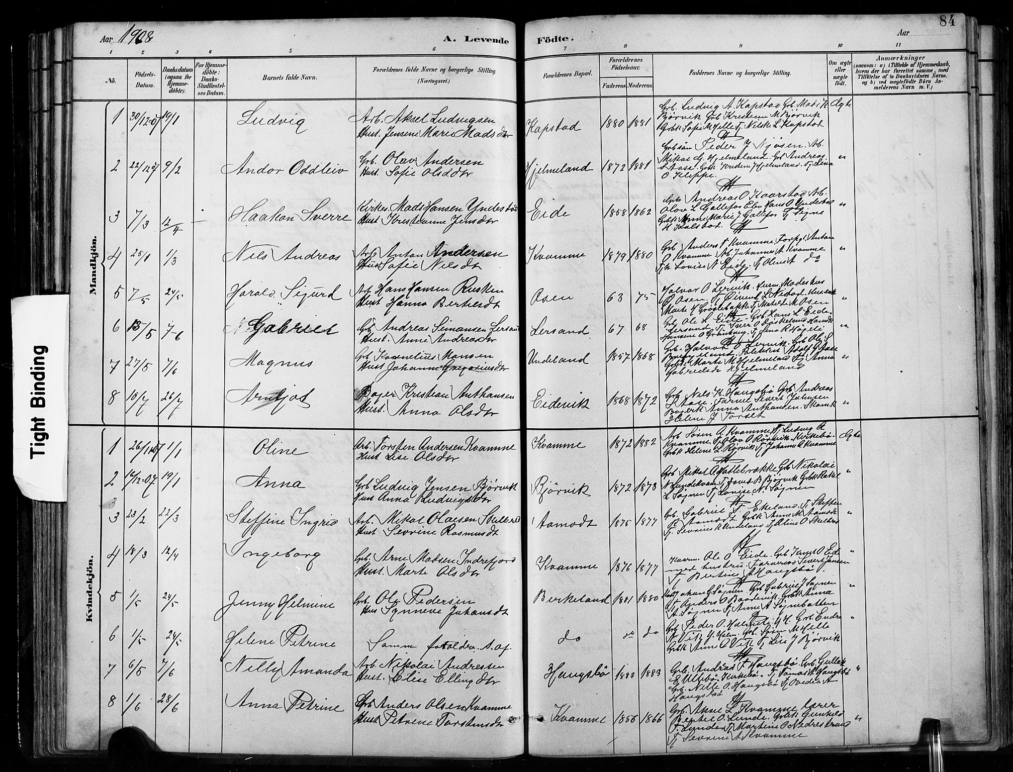 Gaular sokneprestembete, AV/SAB-A-80001/H/Hab: Klokkerbok nr. B 3, 1882-1913, s. 84