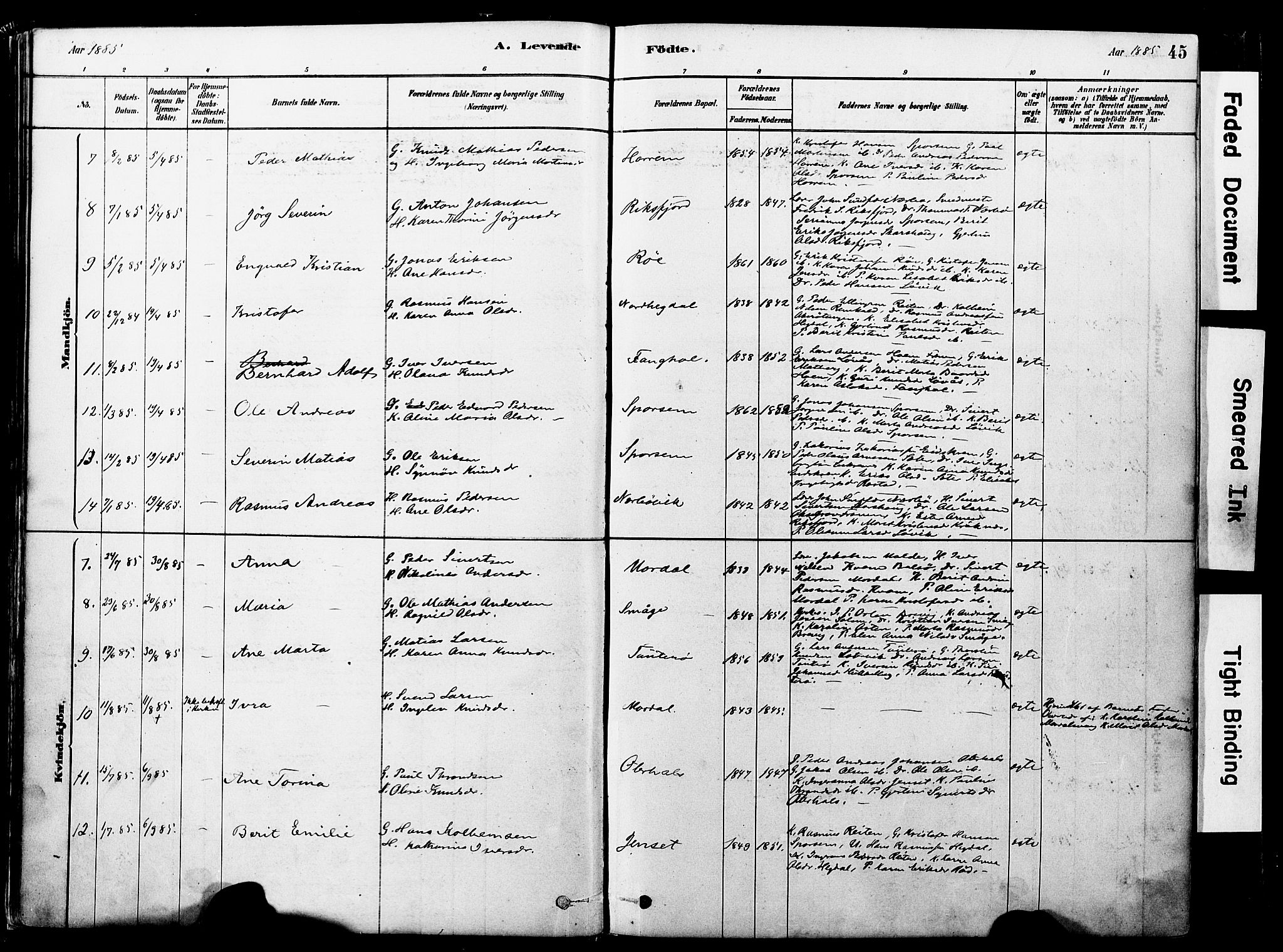 Ministerialprotokoller, klokkerbøker og fødselsregistre - Møre og Romsdal, SAT/A-1454/560/L0721: Ministerialbok nr. 560A05, 1878-1917, s. 45