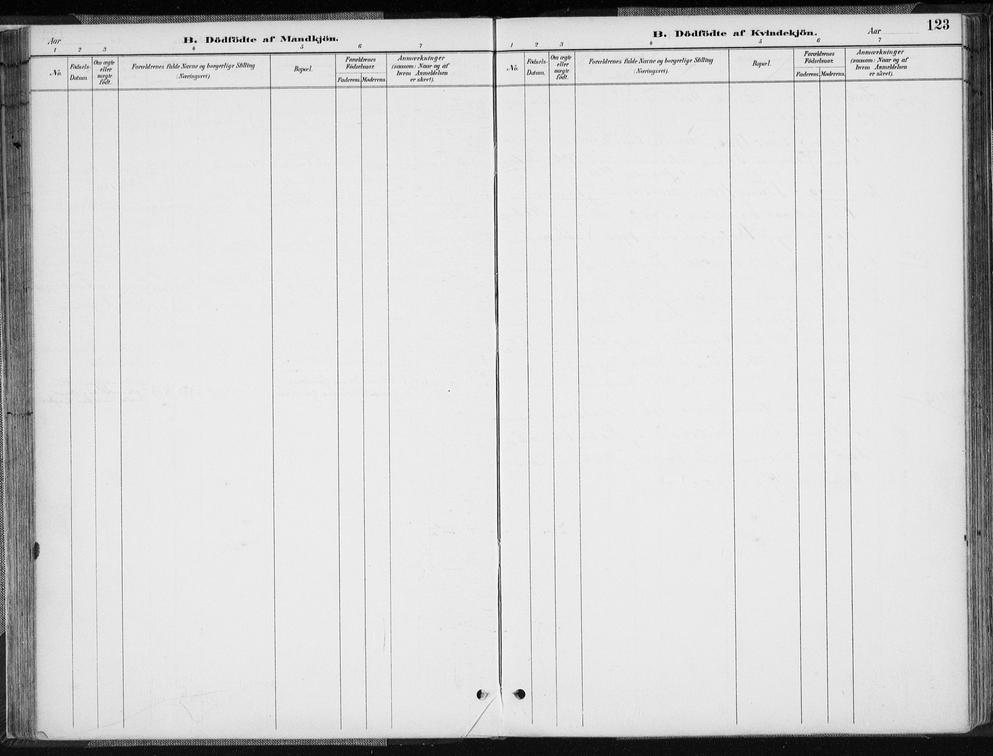 Sør-Audnedal sokneprestkontor, AV/SAK-1111-0039/F/Fa/Fab/L0010: Ministerialbok nr. A 10, 1892-1913, s. 123