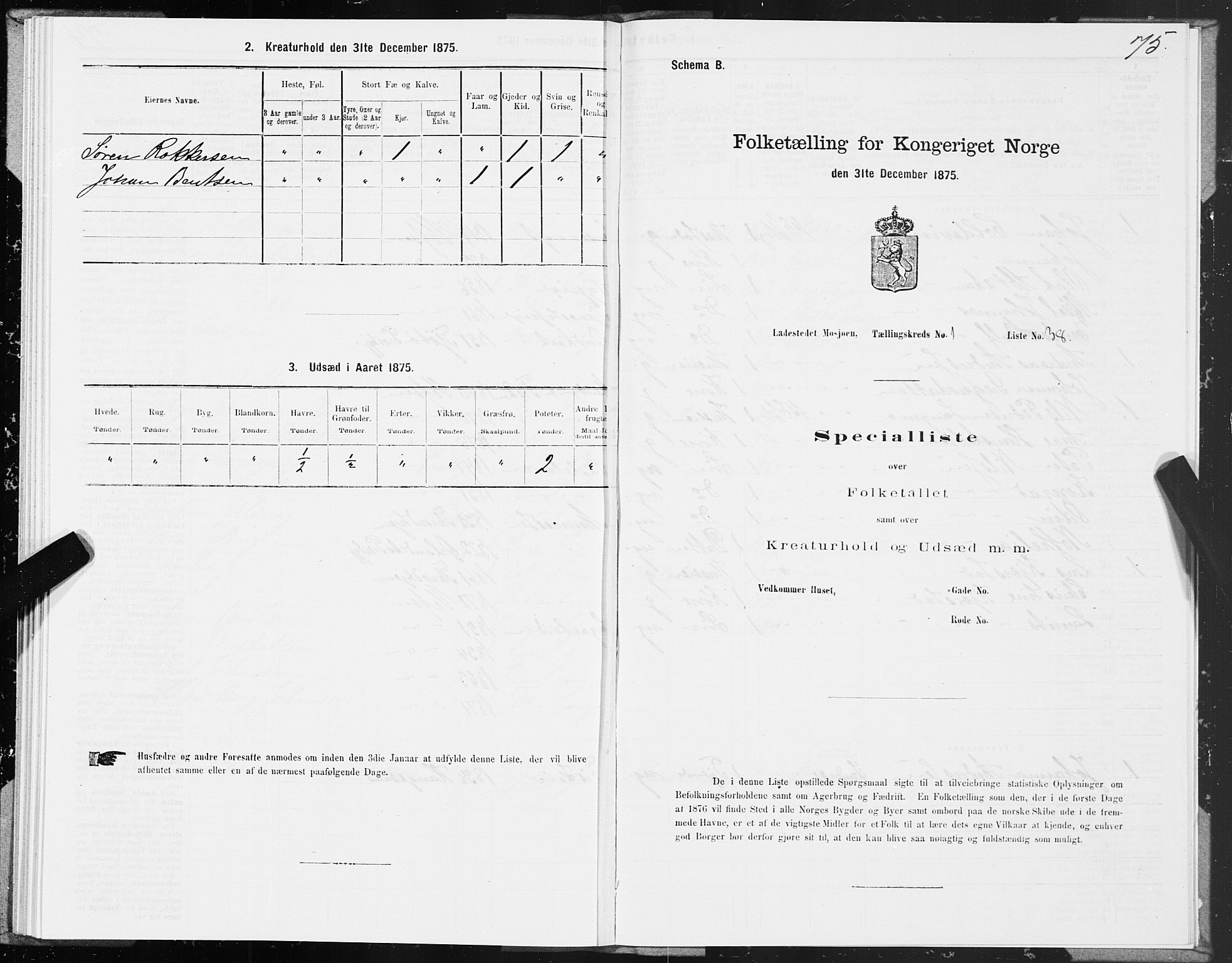 SAT, Folketelling 1875 for 1802B Vefsn prestegjeld, Mosjøen ladested, 1875, s. 75