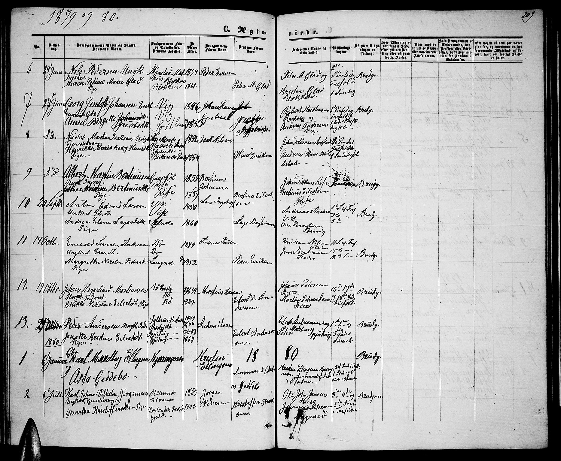 Ministerialprotokoller, klokkerbøker og fødselsregistre - Nordland, AV/SAT-A-1459/895/L1381: Klokkerbok nr. 895C03, 1864-1885, s. 209