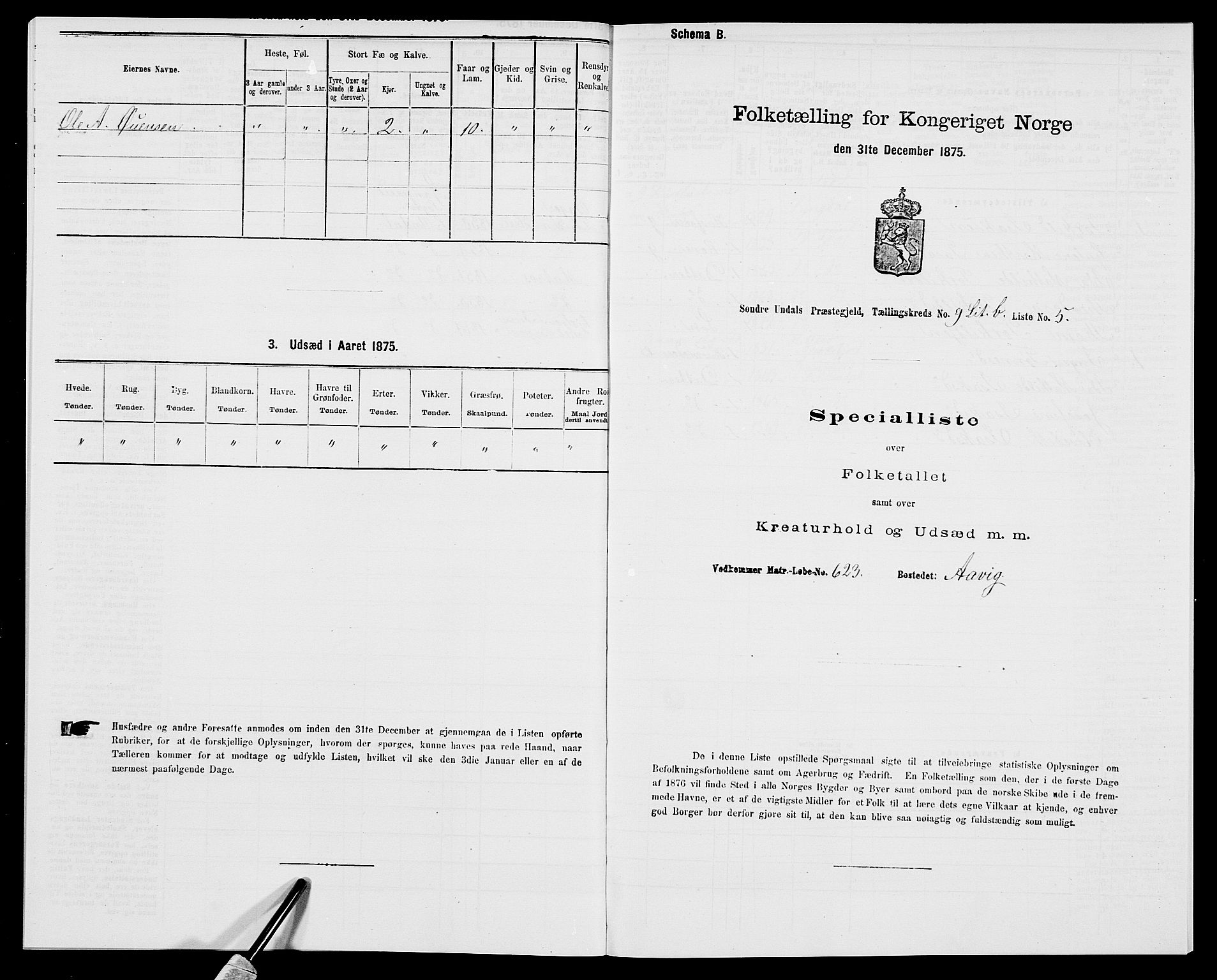 SAK, Folketelling 1875 for 1029P Sør-Audnedal prestegjeld, 1875, s. 1318