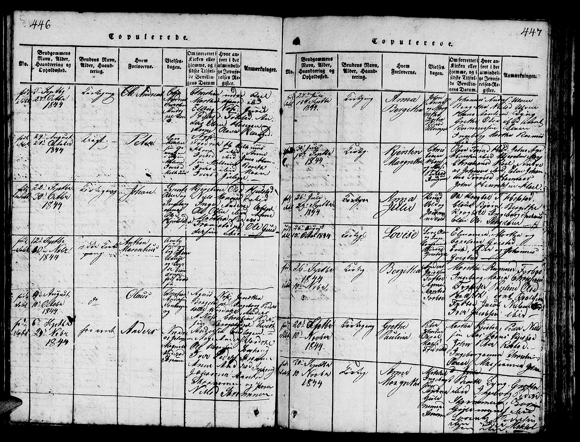 Ministerialprotokoller, klokkerbøker og fødselsregistre - Nord-Trøndelag, AV/SAT-A-1458/730/L0298: Klokkerbok nr. 730C01, 1816-1849, s. 446-447