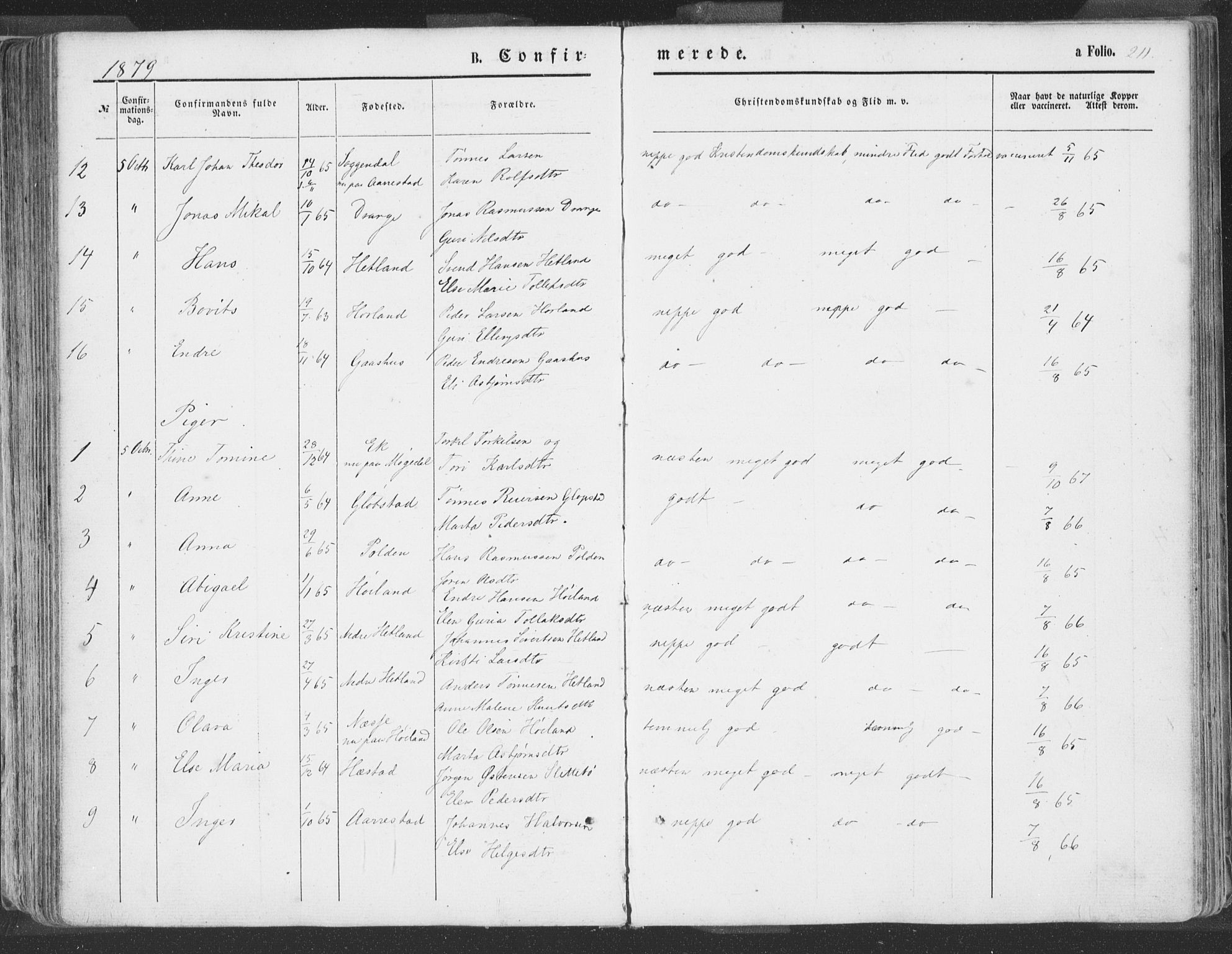 Helleland sokneprestkontor, SAST/A-101810: Ministerialbok nr. A 7.1, 1863-1886, s. 211
