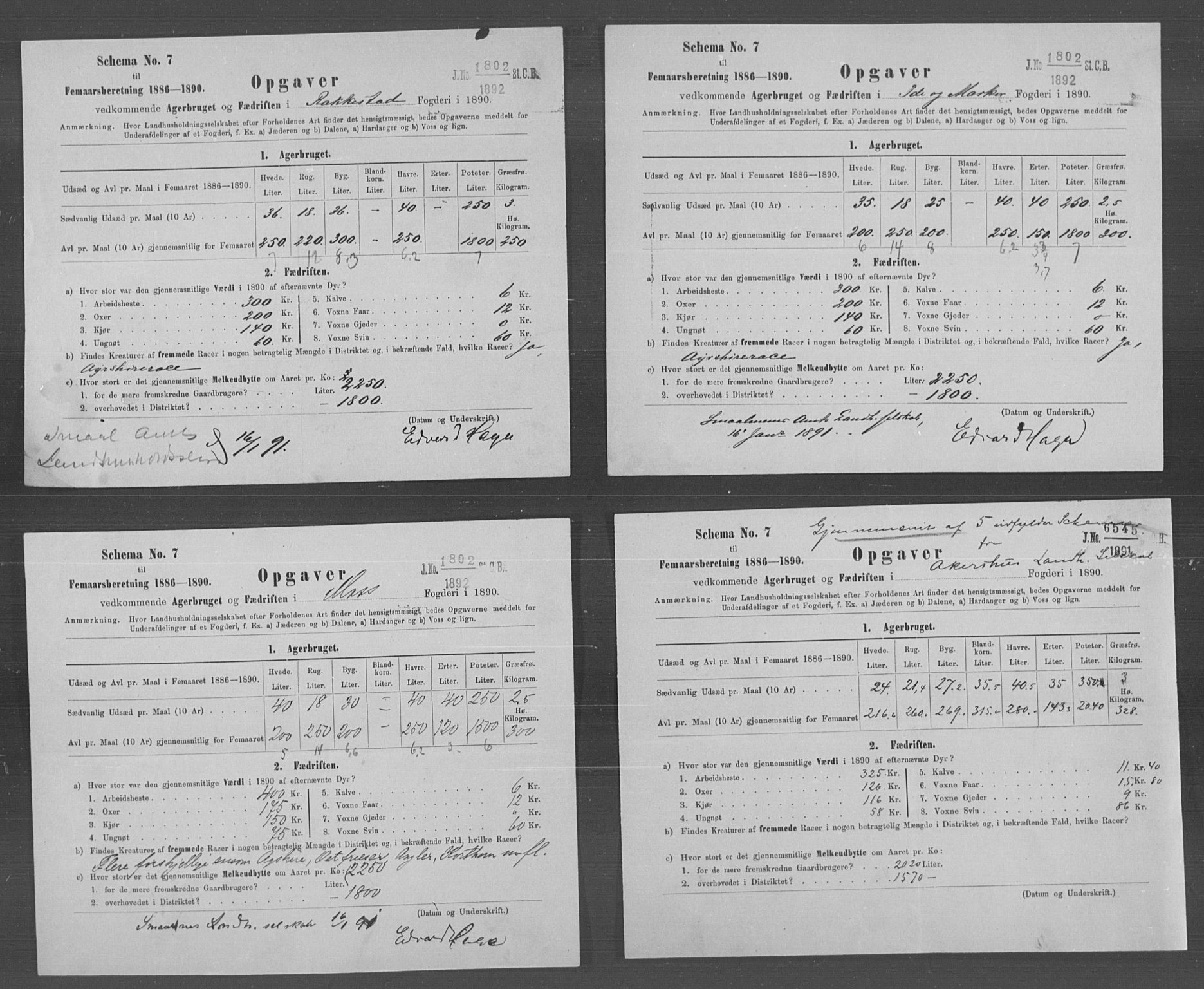 Statistisk sentralbyrå, Næringsøkonomiske emner, Generelt - Amtmennenes femårsberetninger, AV/RA-S-2233/F/Fa/L0070: --, 1886-1890, s. 429