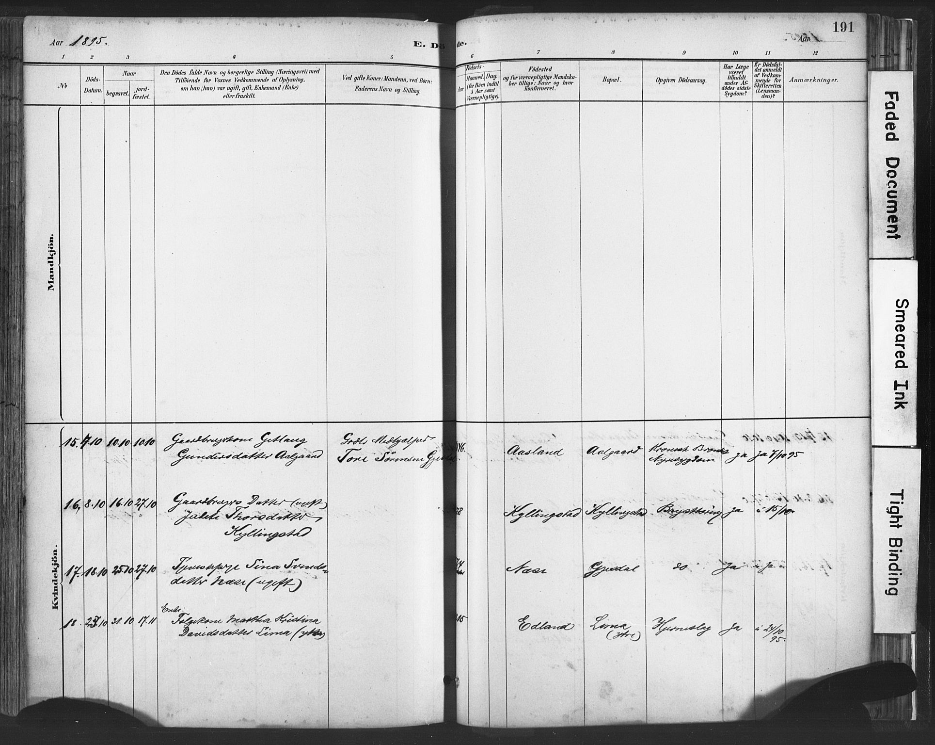 Lye sokneprestkontor, AV/SAST-A-101794/001/30BA/L0010: Ministerialbok nr. A 10, 1881-1896, s. 191