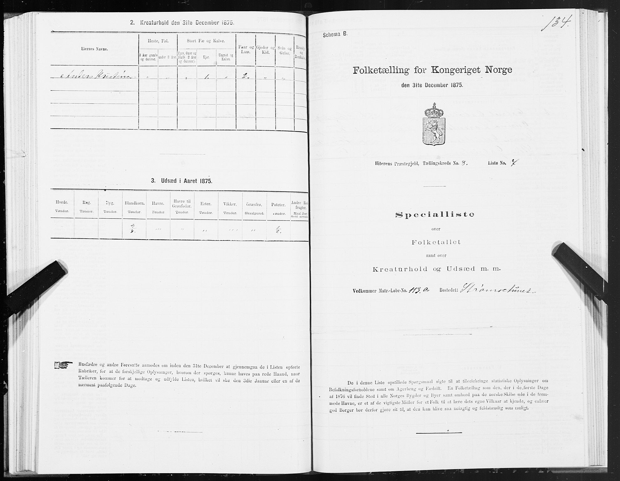 SAT, Folketelling 1875 for 1617P Hitra prestegjeld, 1875, s. 4134