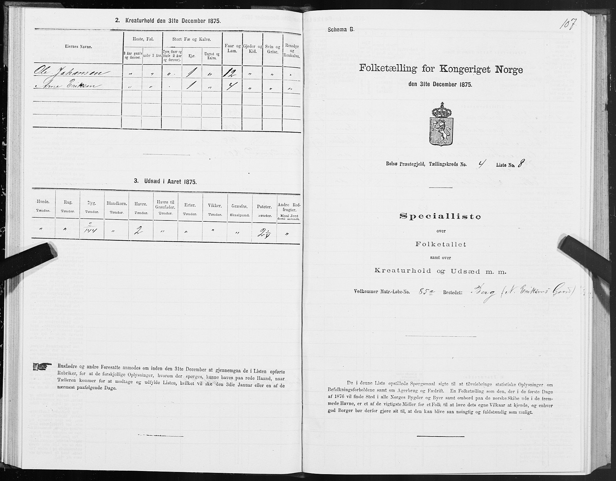 SAT, Folketelling 1875 for 1544P Bolsøy prestegjeld, 1875, s. 3107