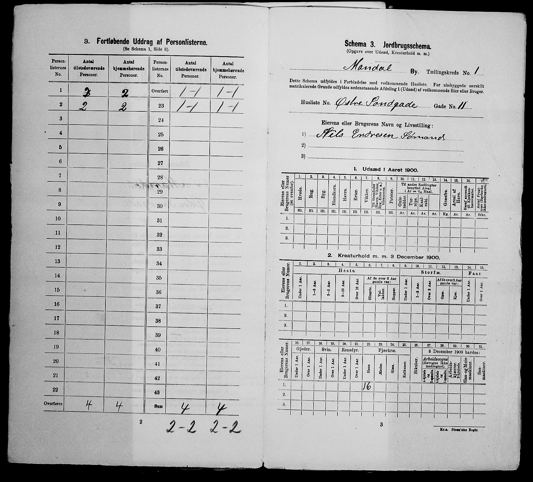SAK, Folketelling 1900 for 1002 Mandal ladested, 1900, s. 205