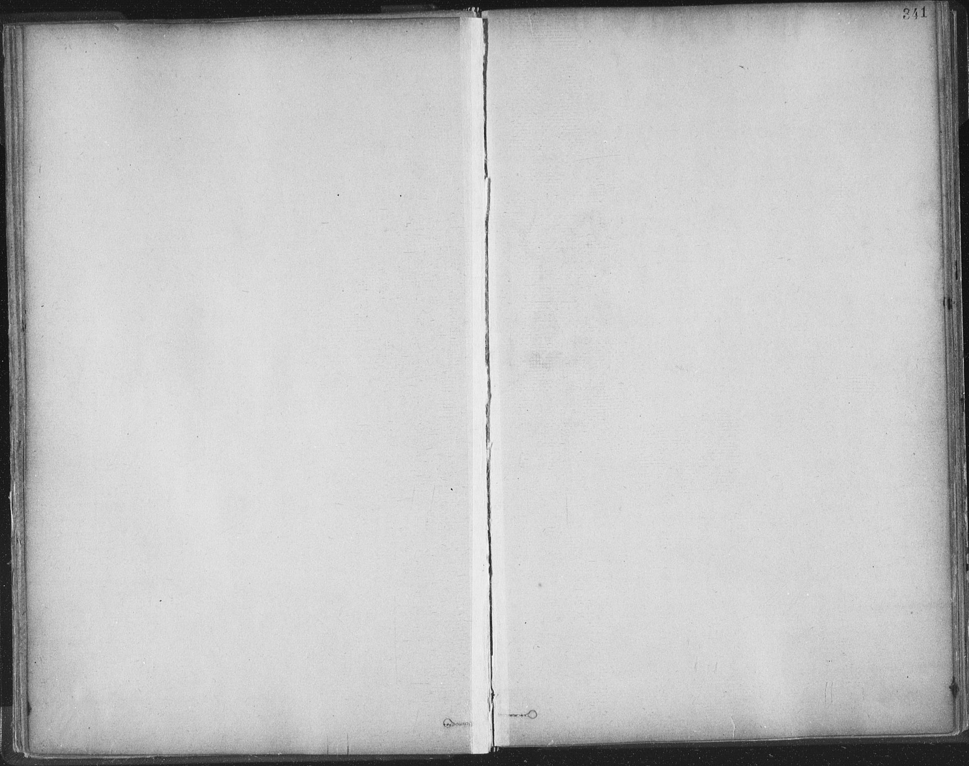 Ministerialprotokoller, klokkerbøker og fødselsregistre - Sør-Trøndelag, AV/SAT-A-1456/603/L0163: Ministerialbok nr. 603A02, 1879-1895, s. 341