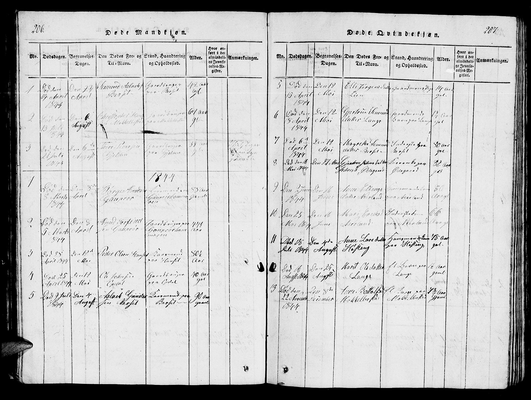 Ministerialprotokoller, klokkerbøker og fødselsregistre - Møre og Romsdal, AV/SAT-A-1454/554/L0644: Klokkerbok nr. 554C01, 1818-1851, s. 206-207