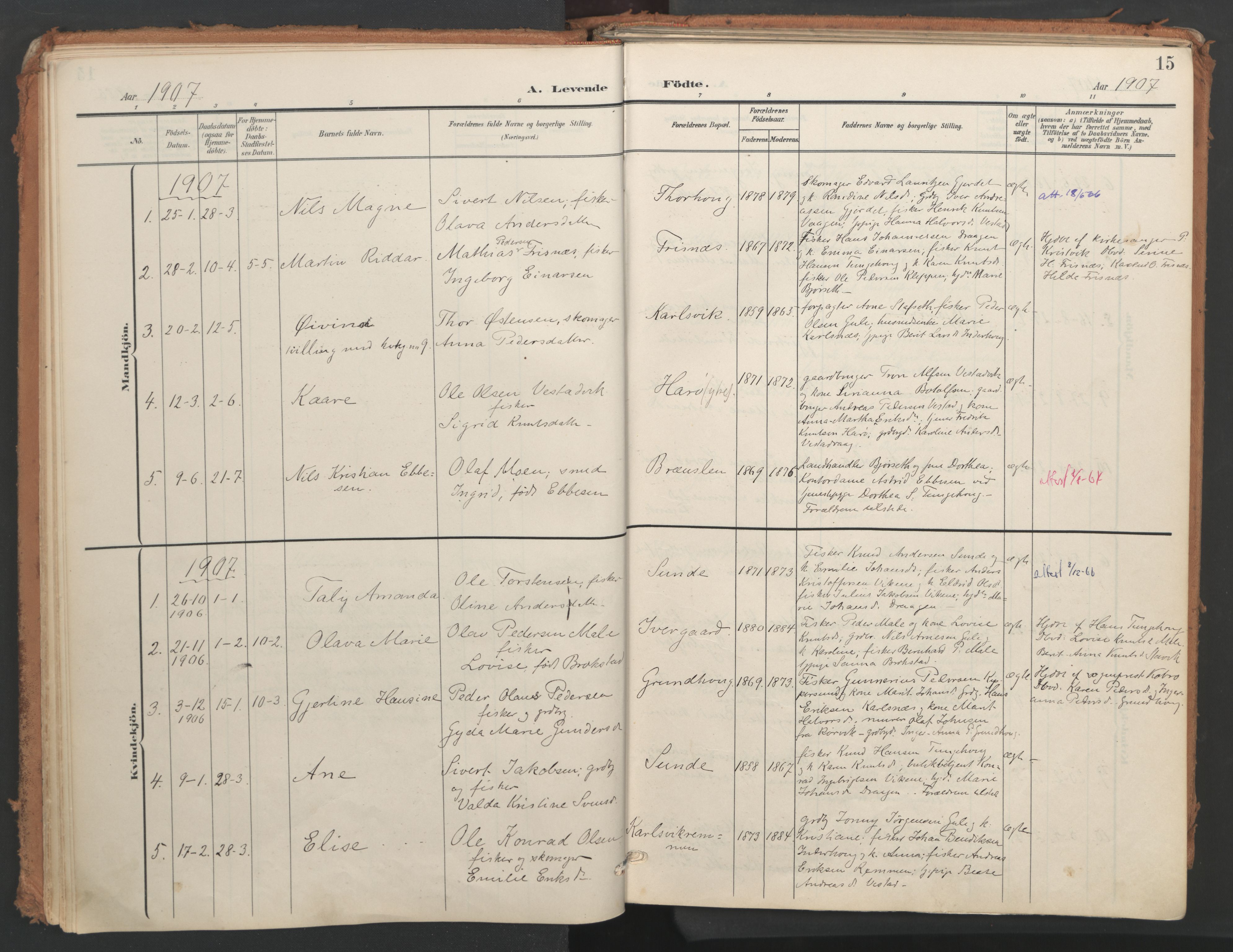 Ministerialprotokoller, klokkerbøker og fødselsregistre - Møre og Romsdal, AV/SAT-A-1454/566/L0771: Ministerialbok nr. 566A10, 1904-1929, s. 15