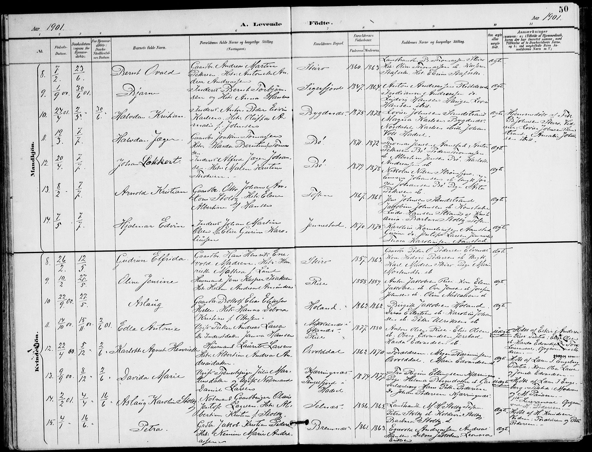 Ministerialprotokoller, klokkerbøker og fødselsregistre - Nordland, AV/SAT-A-1459/895/L1372: Ministerialbok nr. 895A07, 1894-1914, s. 50