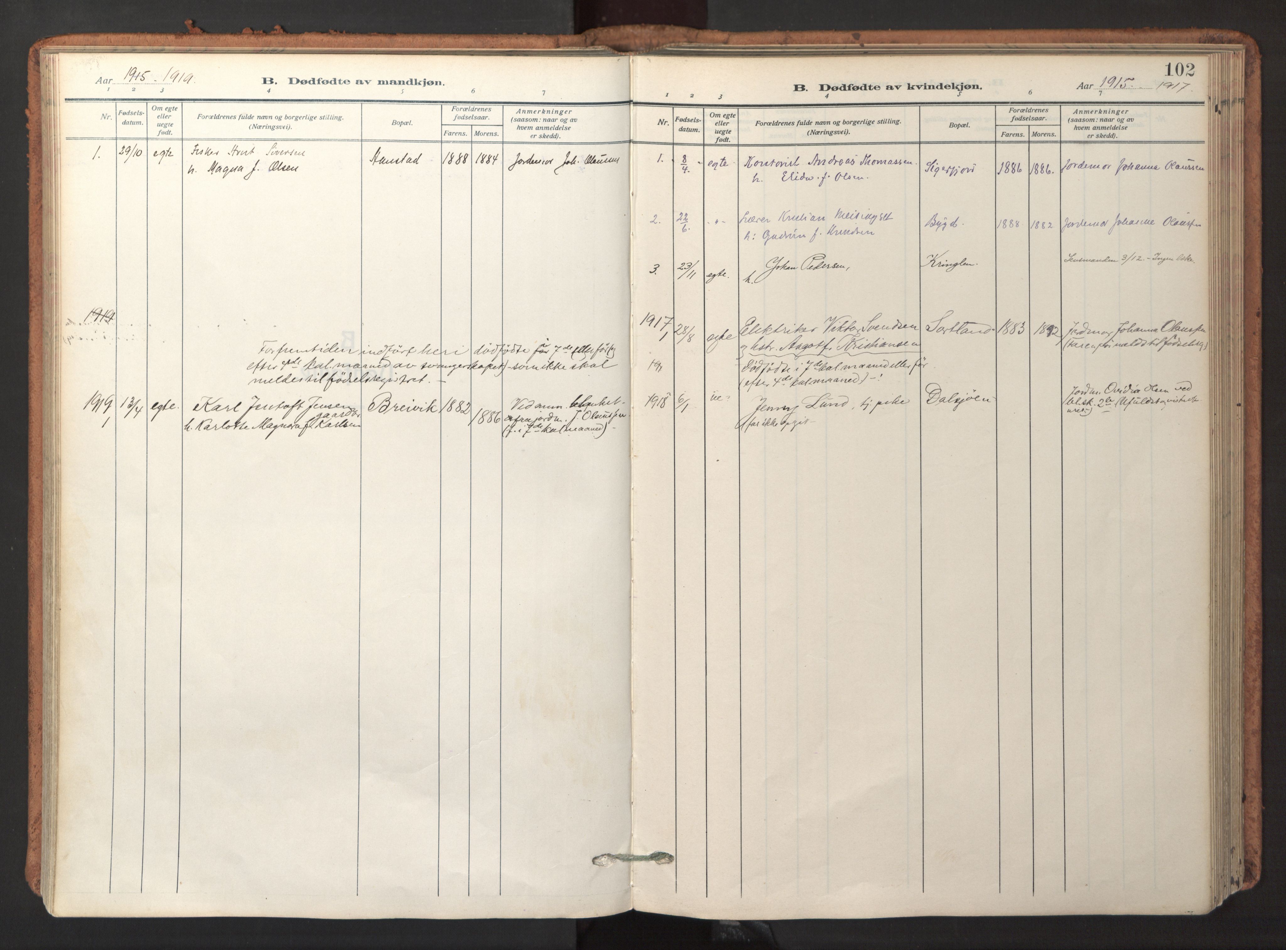 Ministerialprotokoller, klokkerbøker og fødselsregistre - Nordland, SAT/A-1459/895/L1374: Ministerialbok nr. 895A09, 1915-1925, s. 102