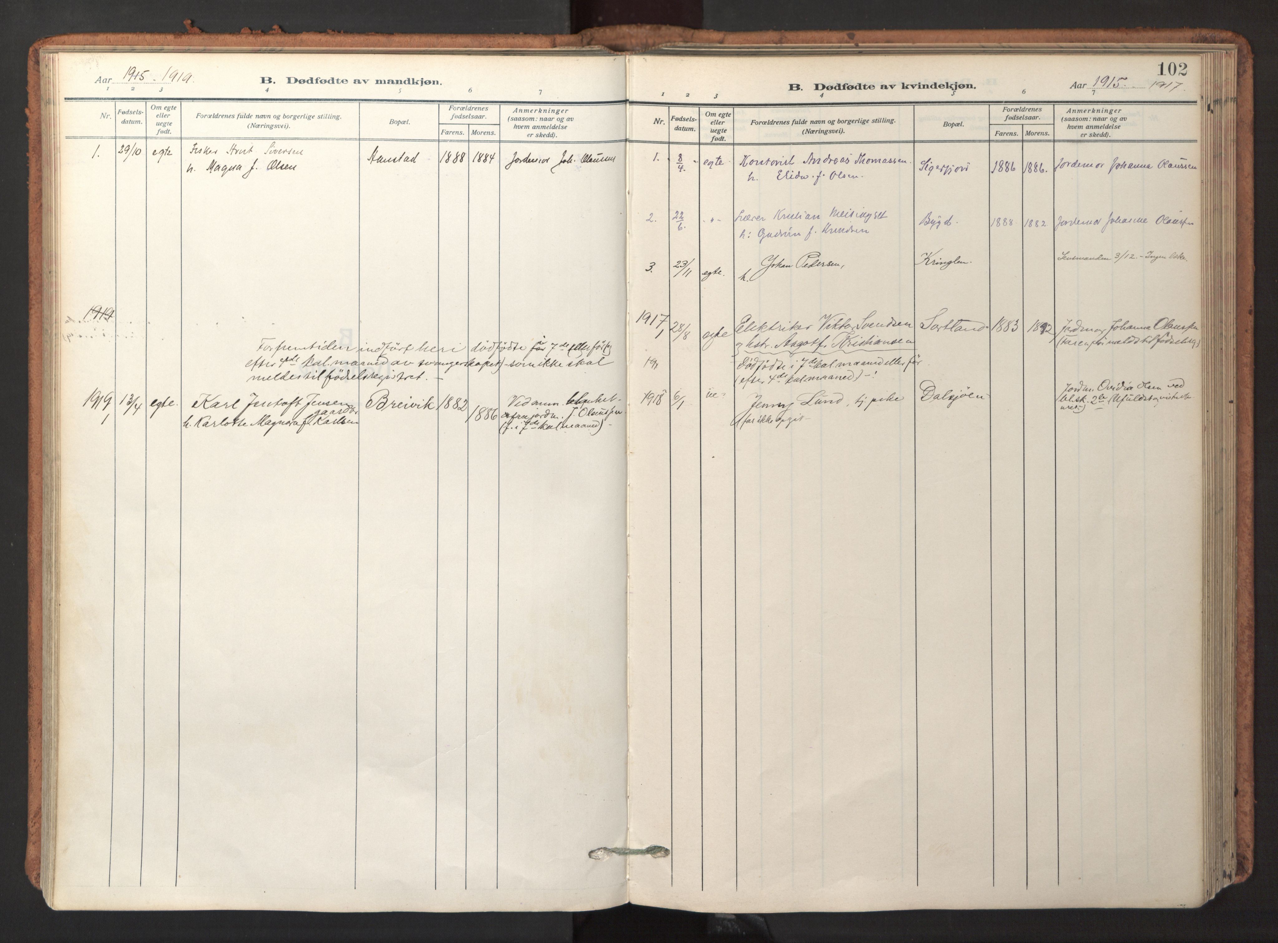 Ministerialprotokoller, klokkerbøker og fødselsregistre - Nordland, AV/SAT-A-1459/895/L1374: Ministerialbok nr. 895A09, 1915-1925, s. 102