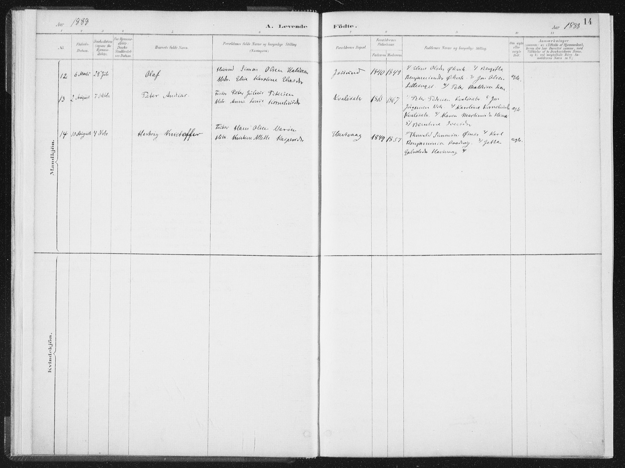 Ministerialprotokoller, klokkerbøker og fødselsregistre - Nord-Trøndelag, SAT/A-1458/771/L0597: Ministerialbok nr. 771A04, 1885-1910, s. 14