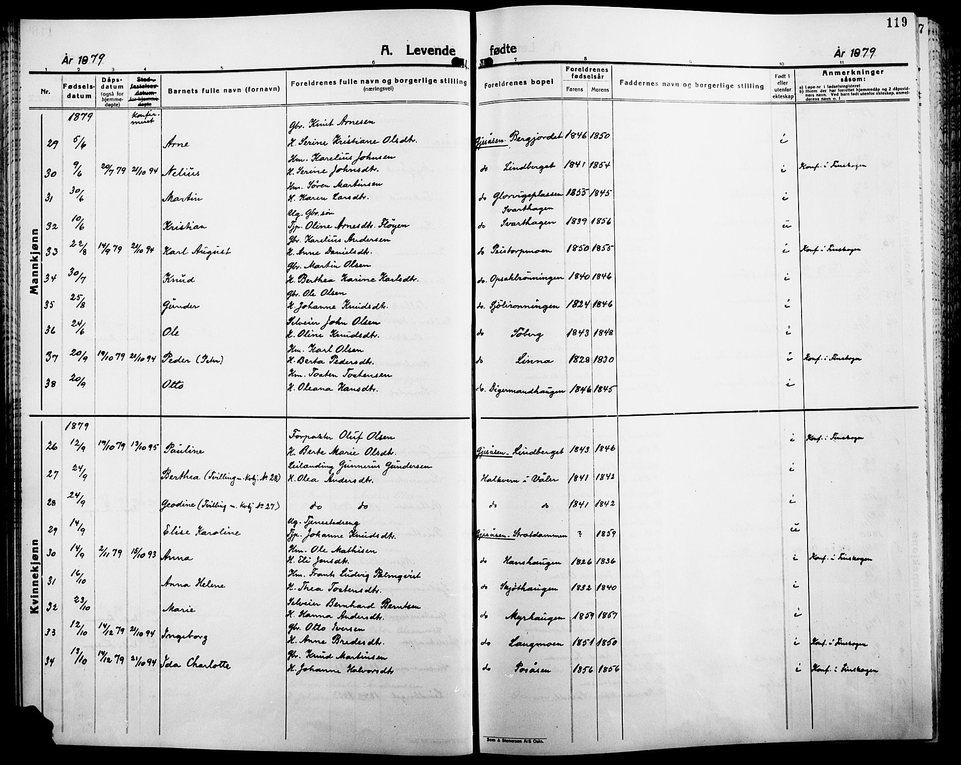 Åsnes prestekontor, SAH/PREST-042/H/Ha/Haa/L0000B: Ministerialbok, 1870-1889, s. 119