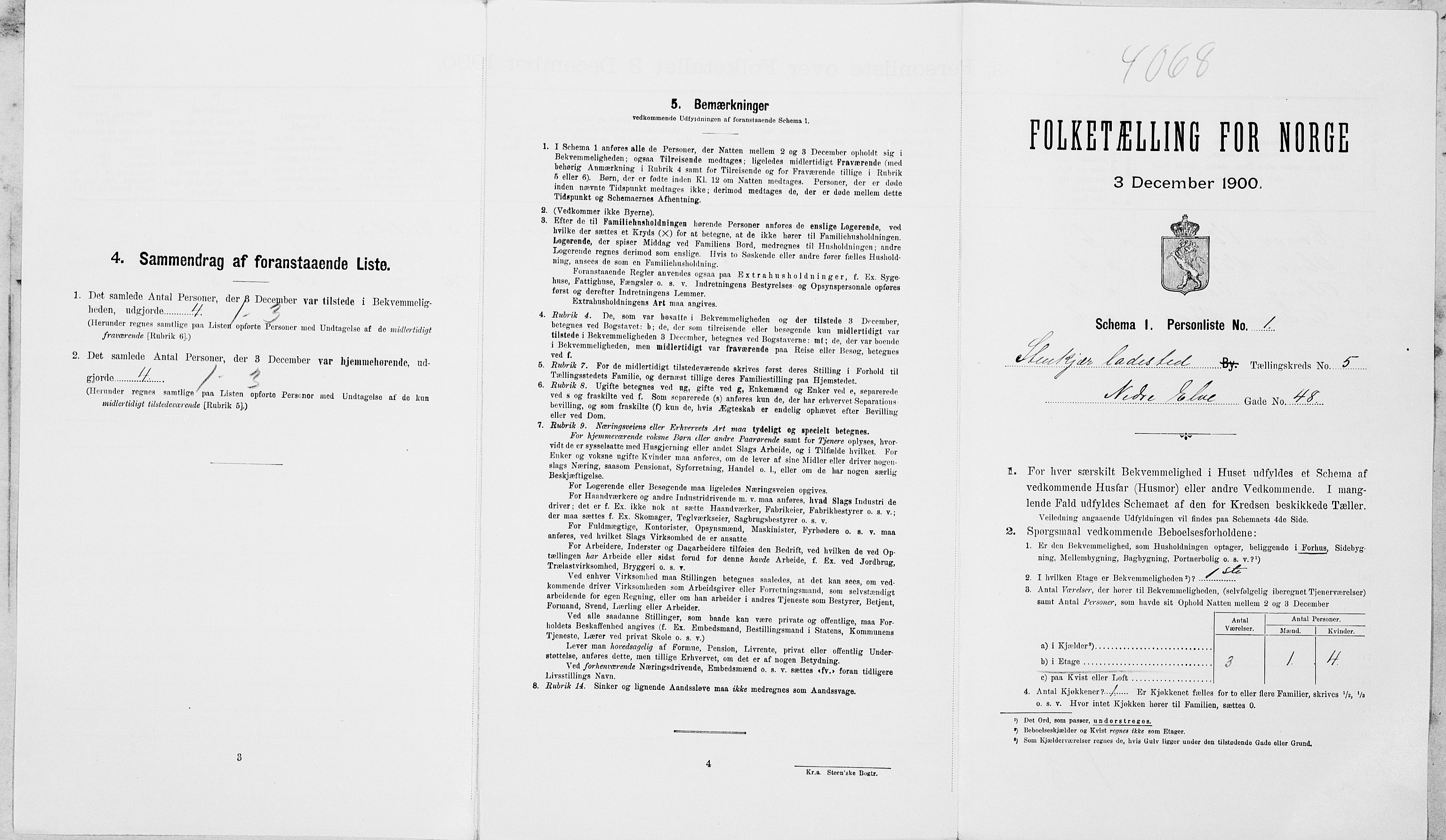SAT, Folketelling 1900 for 1702 Steinkjer ladested, 1900, s. 575