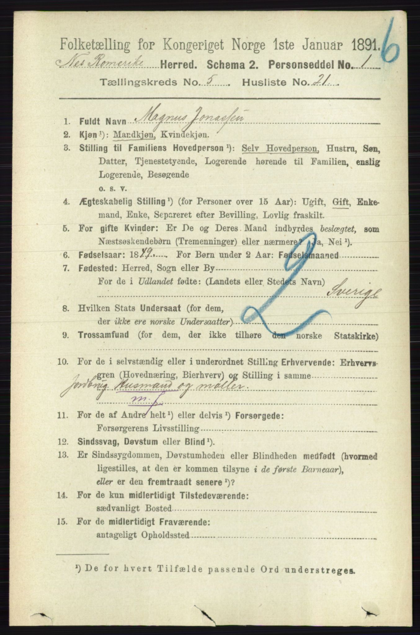 RA, Folketelling 1891 for 0236 Nes herred, 1891, s. 2905