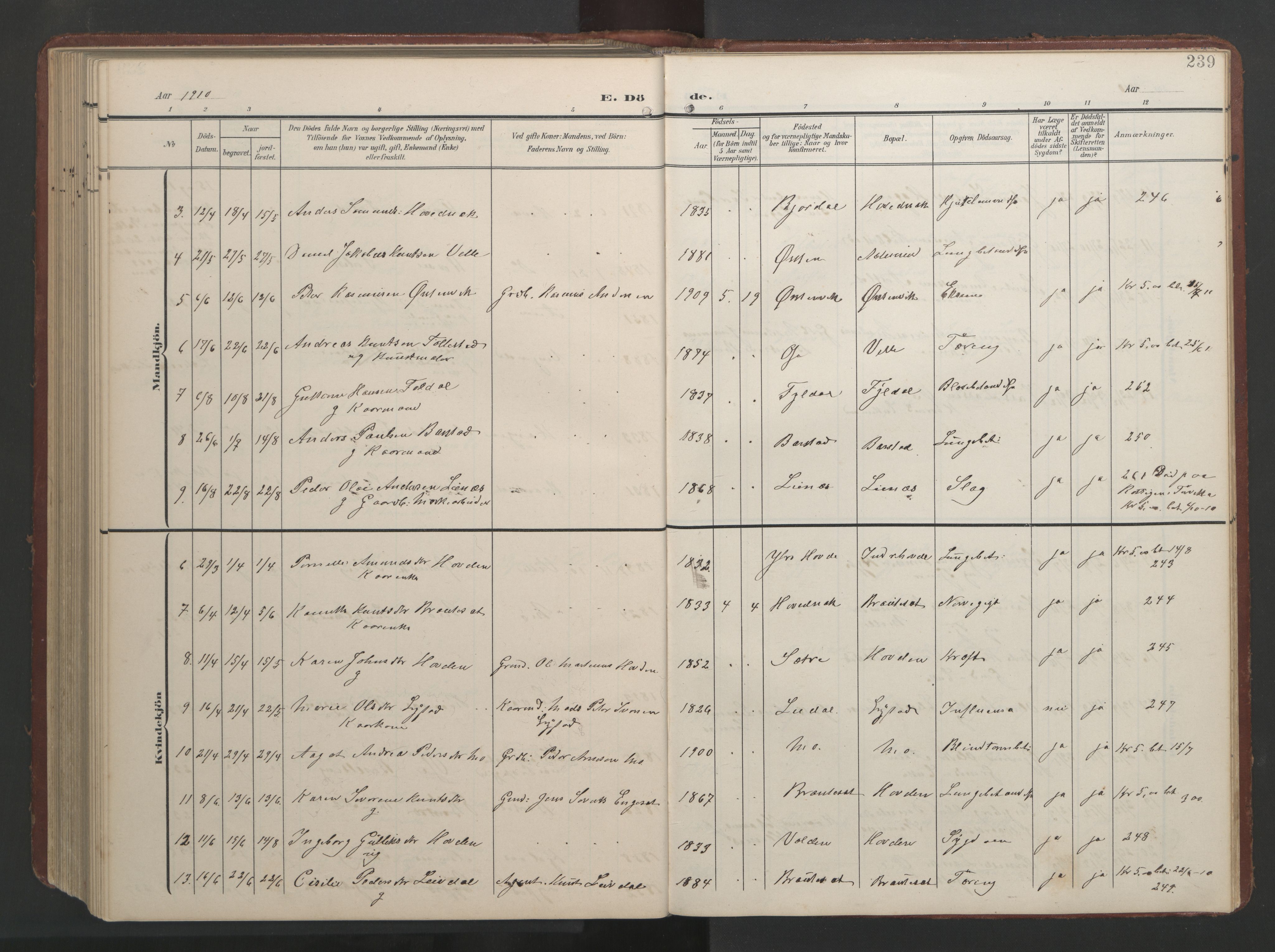 Ministerialprotokoller, klokkerbøker og fødselsregistre - Møre og Romsdal, AV/SAT-A-1454/513/L0190: Klokkerbok nr. 513C04, 1904-1926, s. 239
