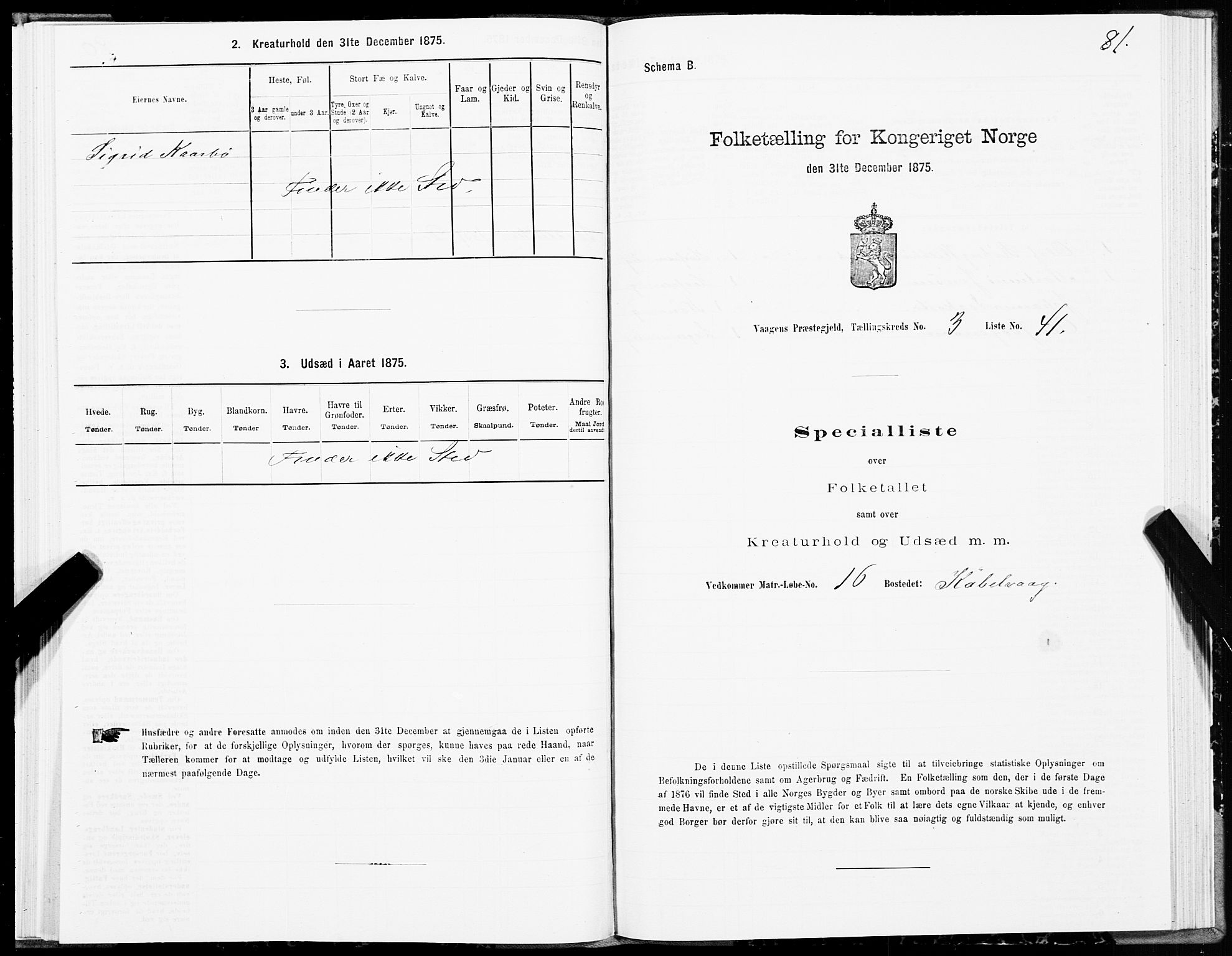 SAT, Folketelling 1875 for 1865P Vågan prestegjeld, 1875, s. 2081