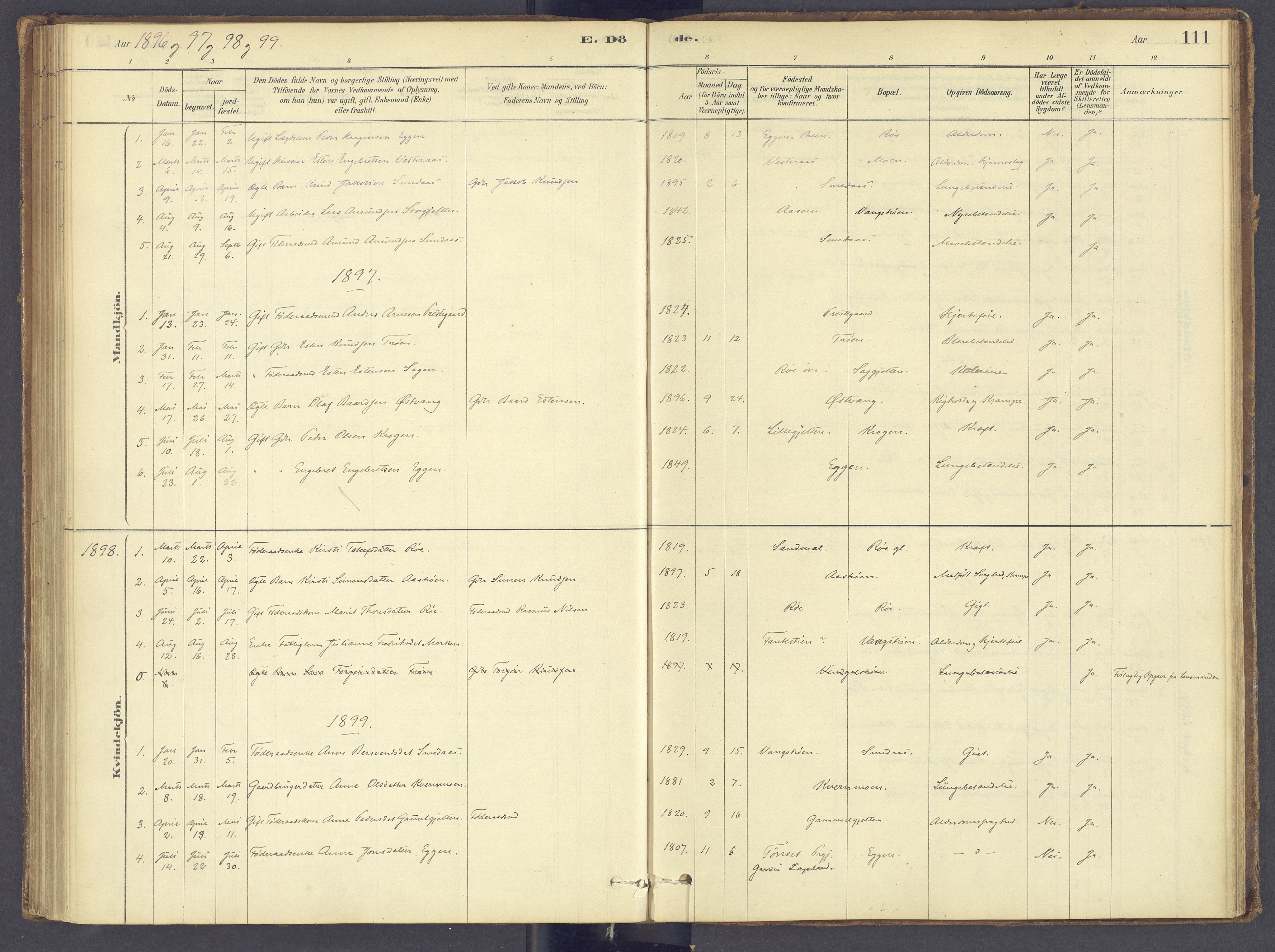 Tolga prestekontor, SAH/PREST-062/K/L0012: Ministerialbok nr. 12, 1877-1925, s. 111