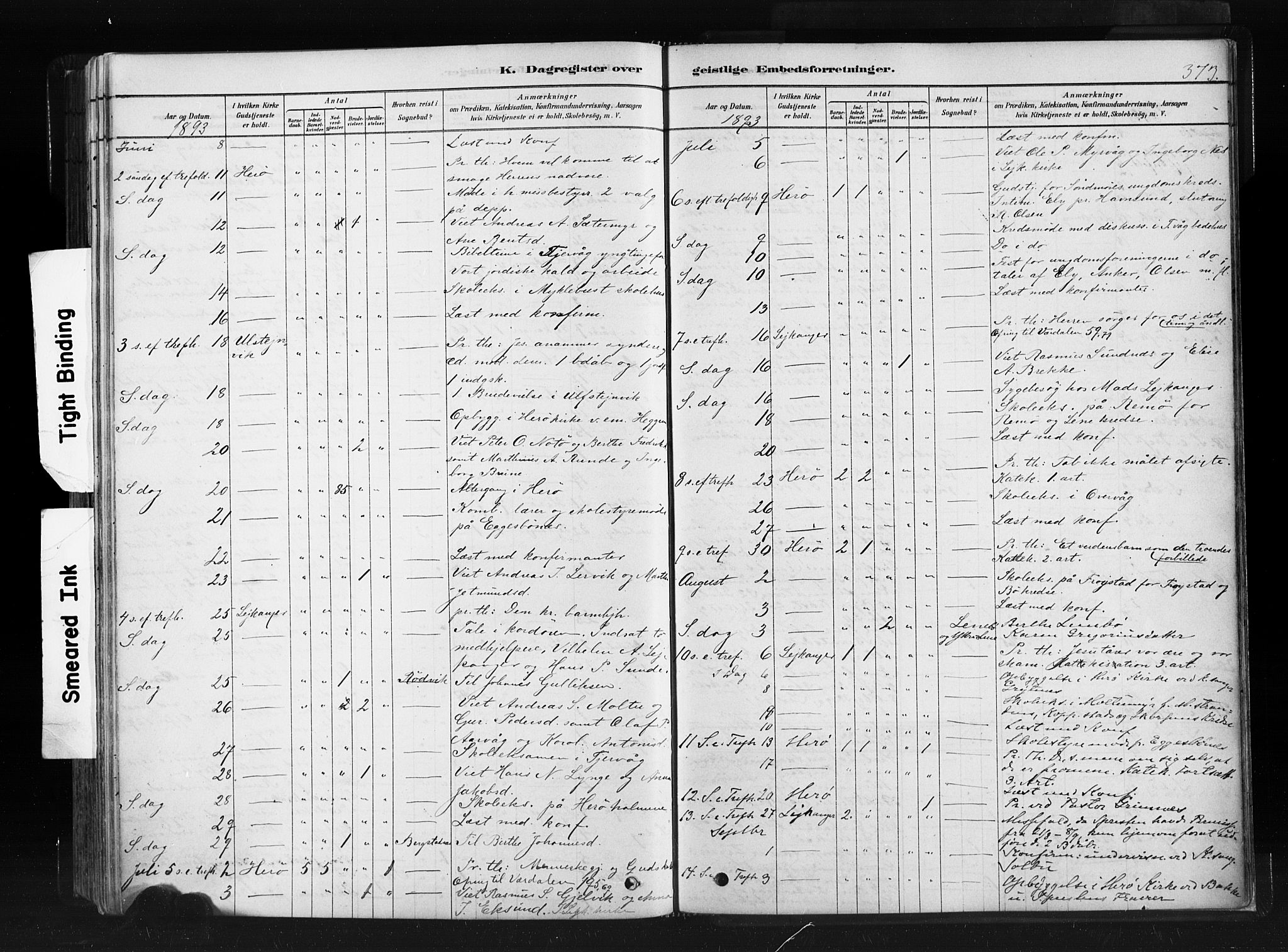 Ministerialprotokoller, klokkerbøker og fødselsregistre - Møre og Romsdal, AV/SAT-A-1454/507/L0073: Ministerialbok nr. 507A08, 1878-1904, s. 373