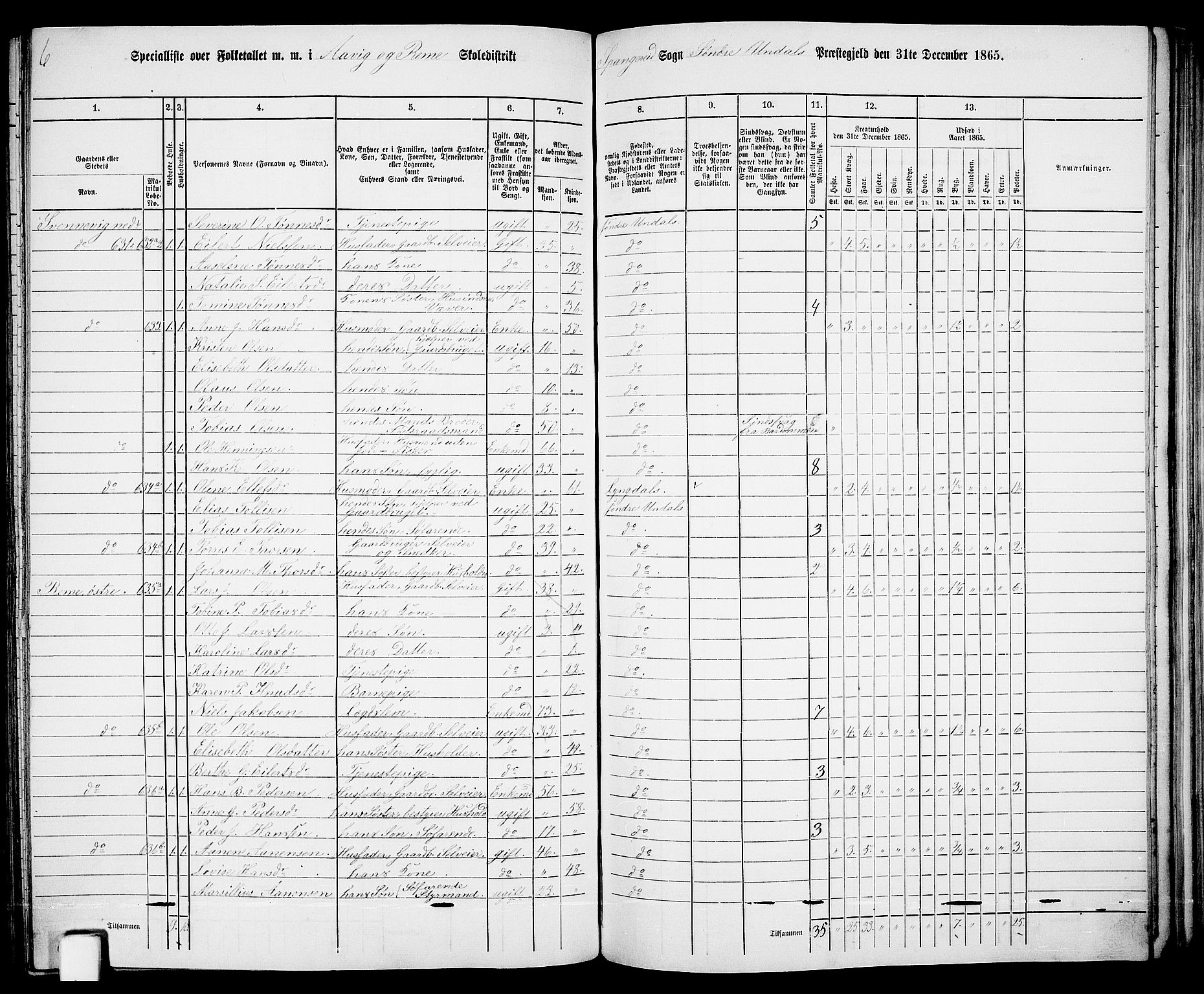 RA, Folketelling 1865 for 1029P Sør-Audnedal prestegjeld, 1865, s. 145