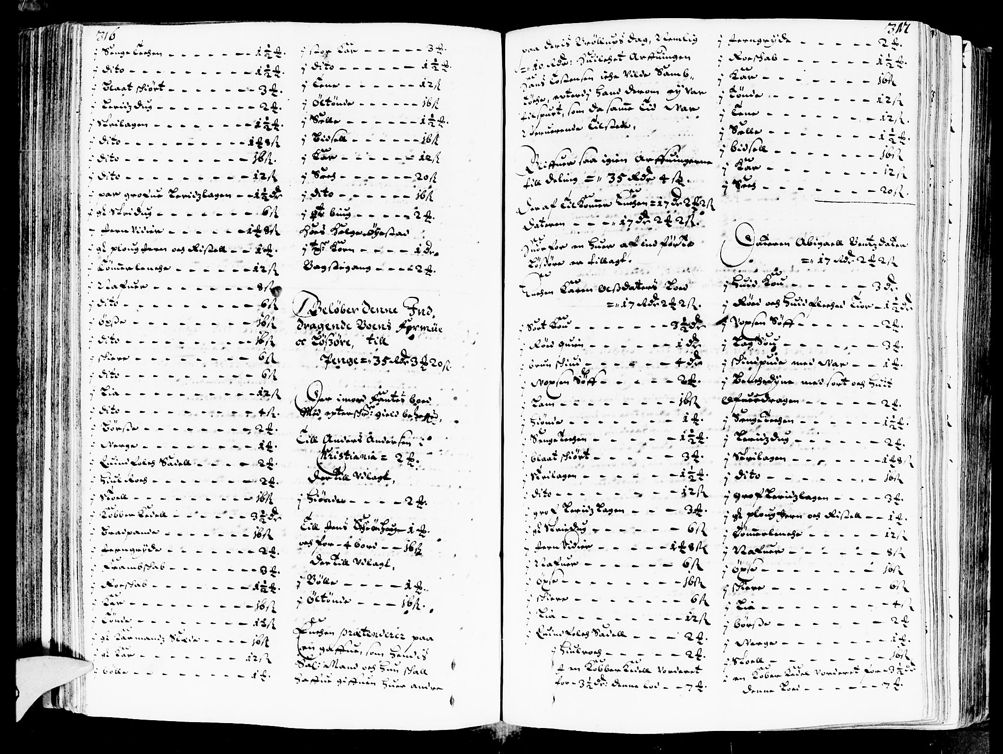 Heggen og Frøland sorenskriveri I, SAO/A-11556/H/Hb/L0002a: Skifteprotokoll, 1676-1683, s. 316-317