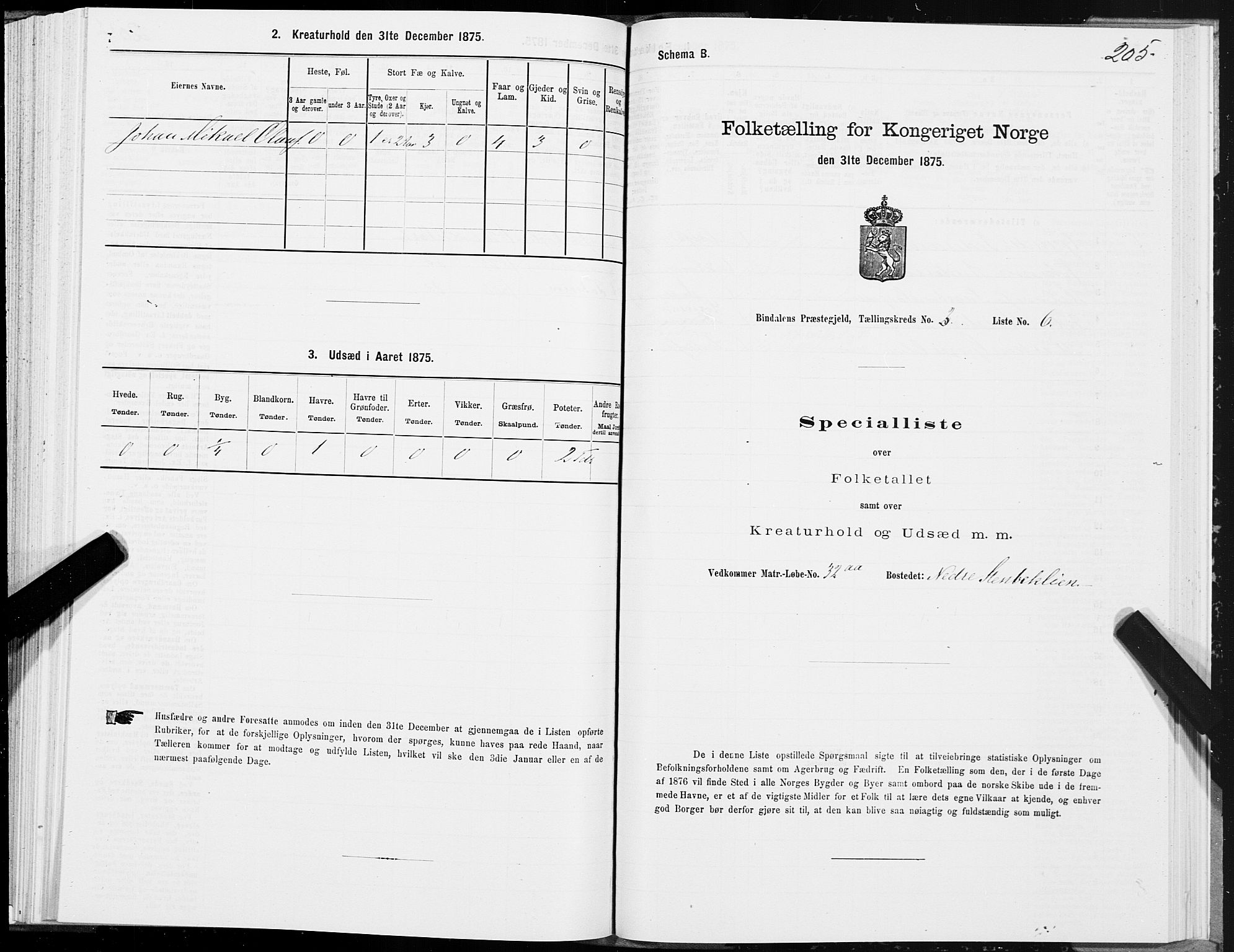 SAT, Folketelling 1875 for 1811P Bindal prestegjeld, 1875, s. 1205