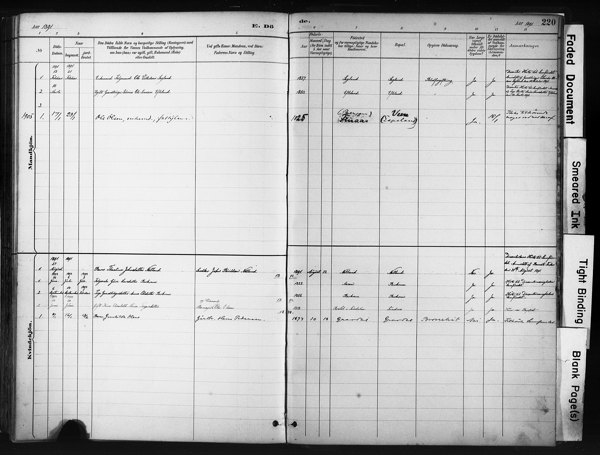 Helleland sokneprestkontor, AV/SAST-A-101810: Ministerialbok nr. A 9, 1887-1908, s. 220