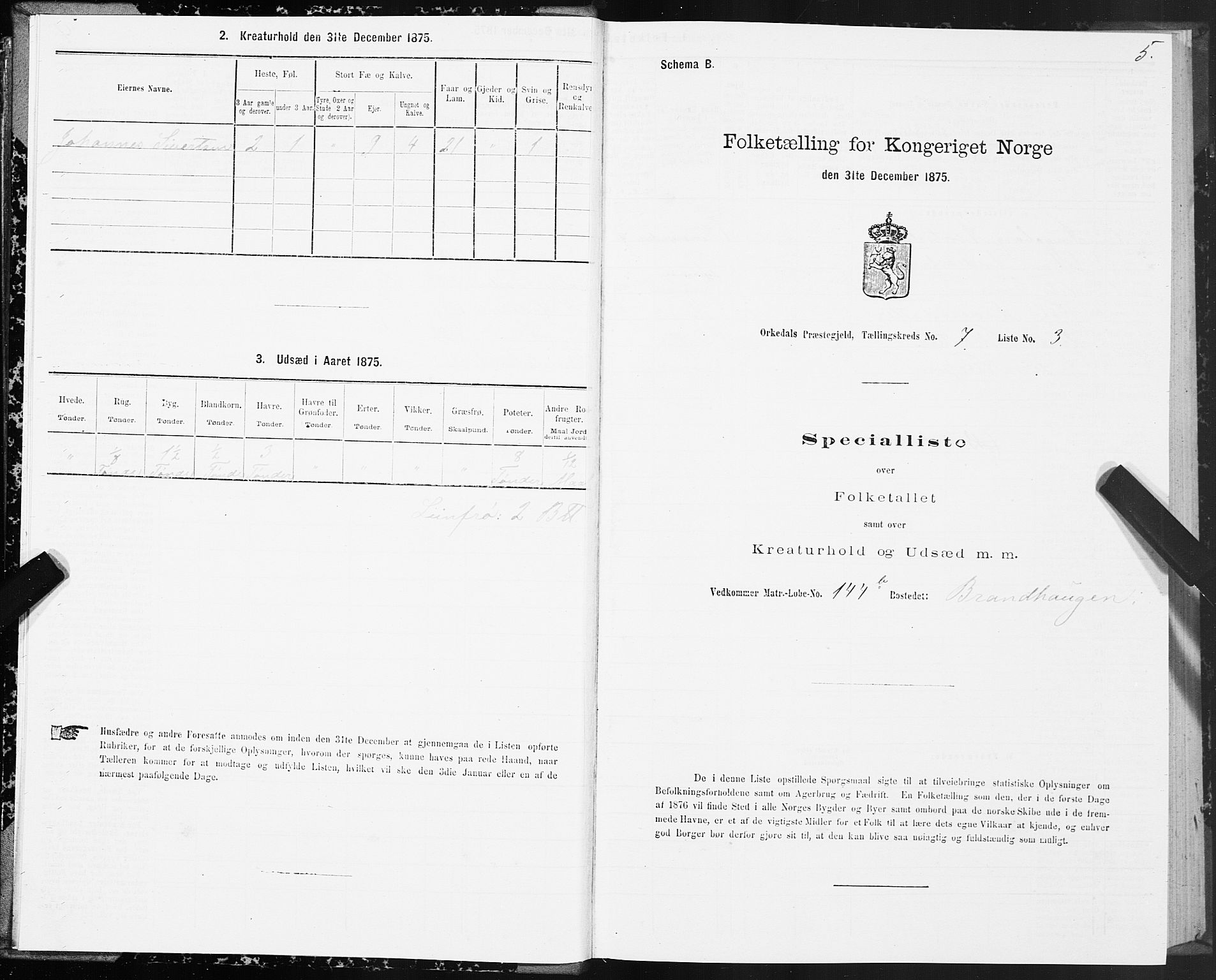 SAT, Folketelling 1875 for 1638P Orkdal prestegjeld, 1875, s. 4005