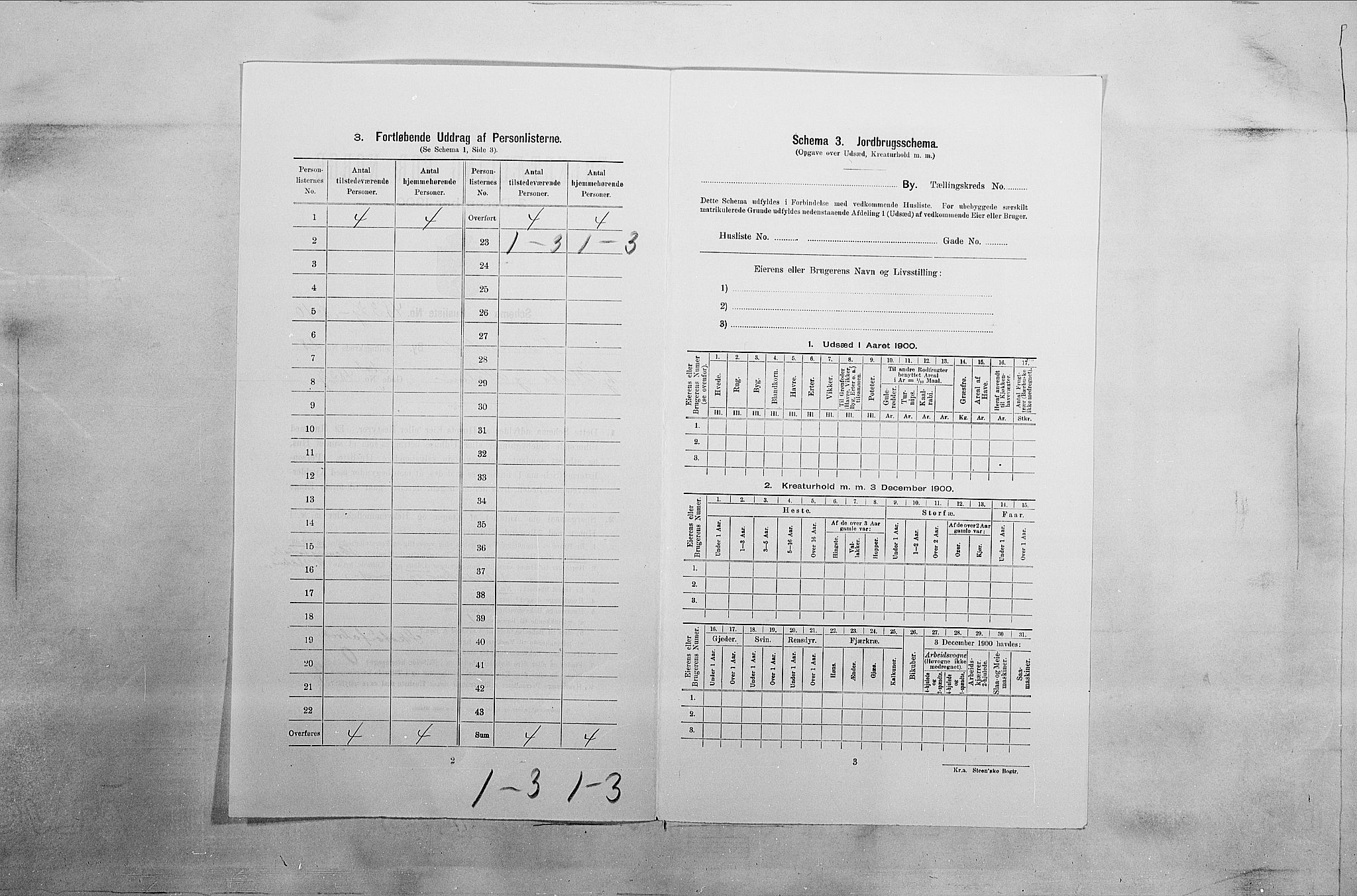 SAO, Folketelling 1900 for 0103 Fredrikstad kjøpstad, 1900