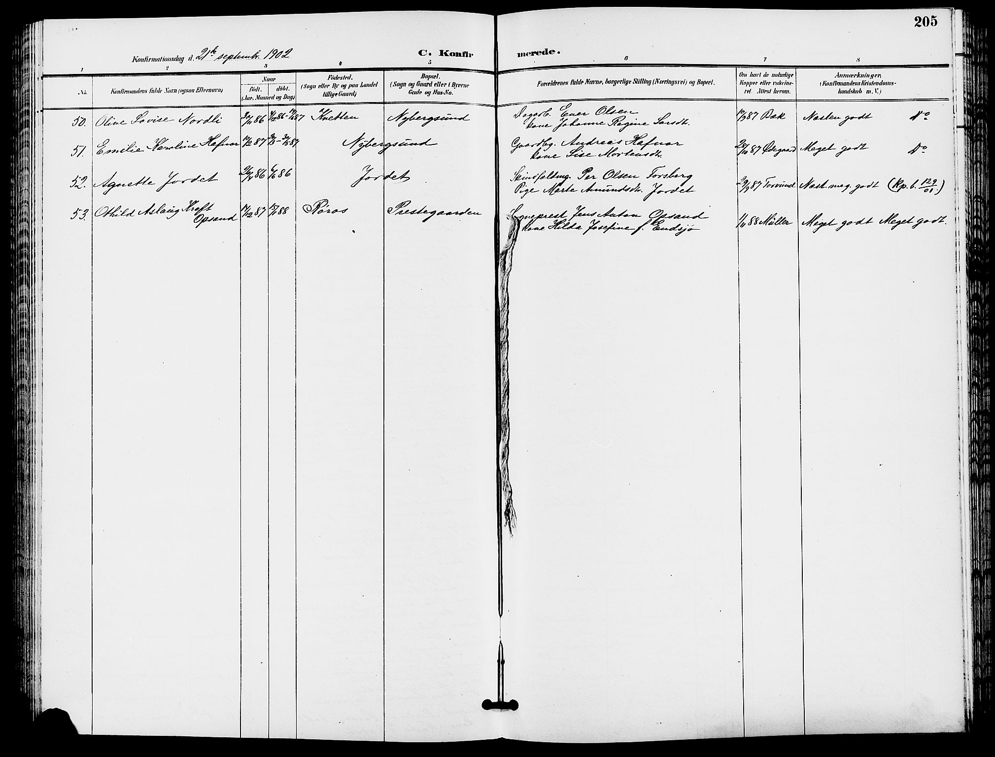 Trysil prestekontor, AV/SAH-PREST-046/H/Ha/Hab/L0006: Klokkerbok nr. 6, 1896-1912, s. 205