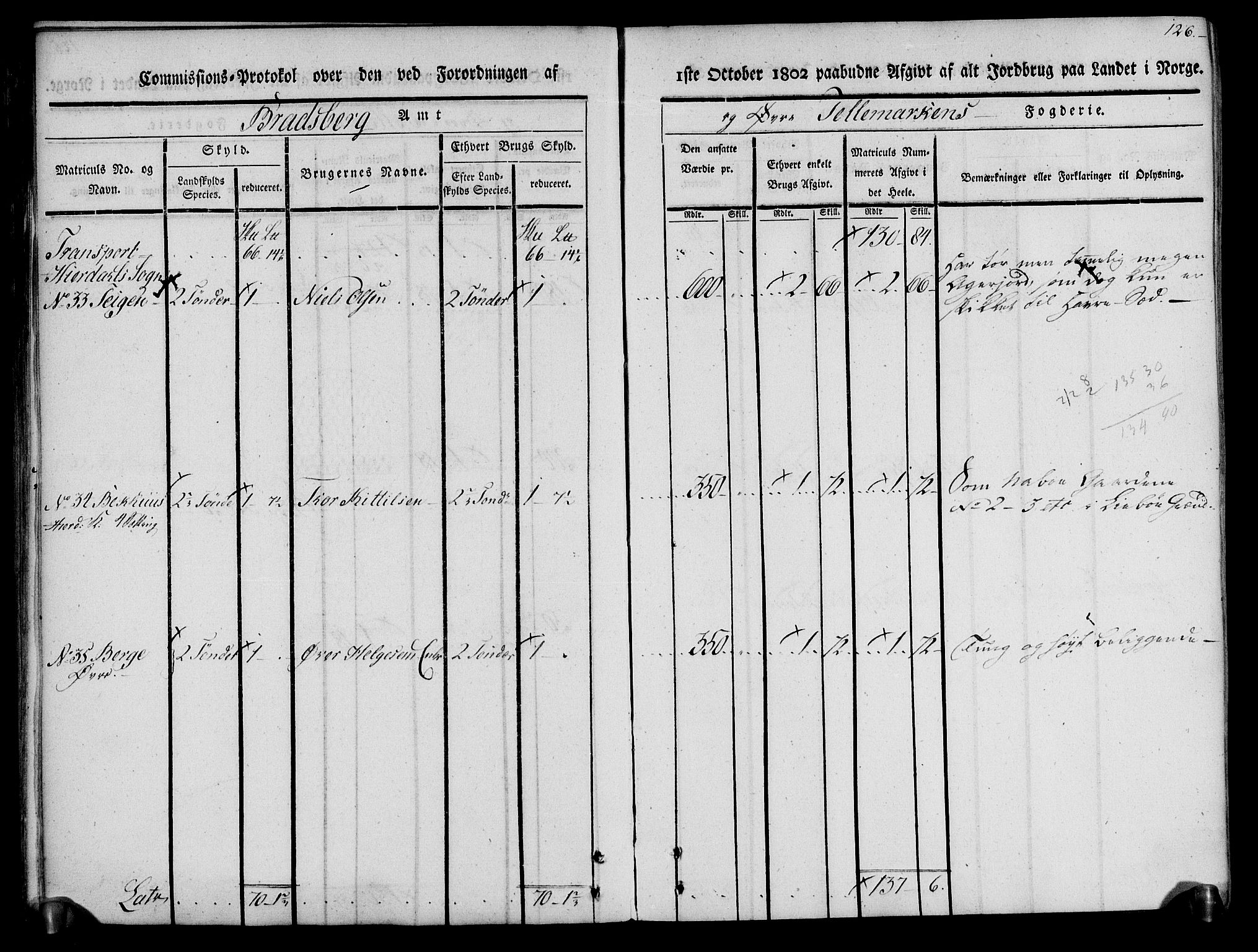 Rentekammeret inntil 1814, Realistisk ordnet avdeling, AV/RA-EA-4070/N/Ne/Nea/L0074: Øvre Telemarken fogderi. Kommisjonsprotokoll for fogderiets østre del - Tinn, Hjartdal og Seljord prestegjeld., 1803, s. 126