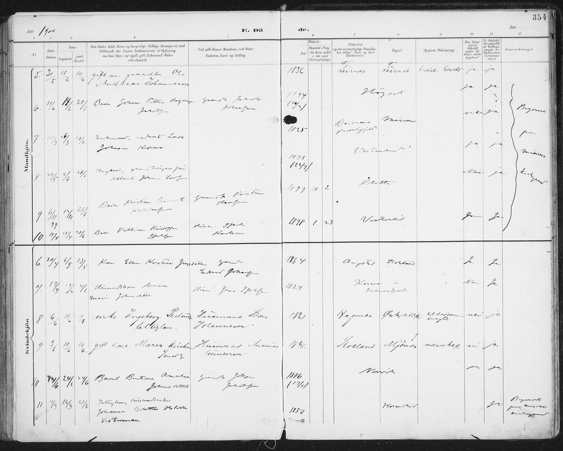 Ministerialprotokoller, klokkerbøker og fødselsregistre - Nordland, AV/SAT-A-1459/852/L0741: Ministerialbok nr. 852A11, 1894-1917, s. 354