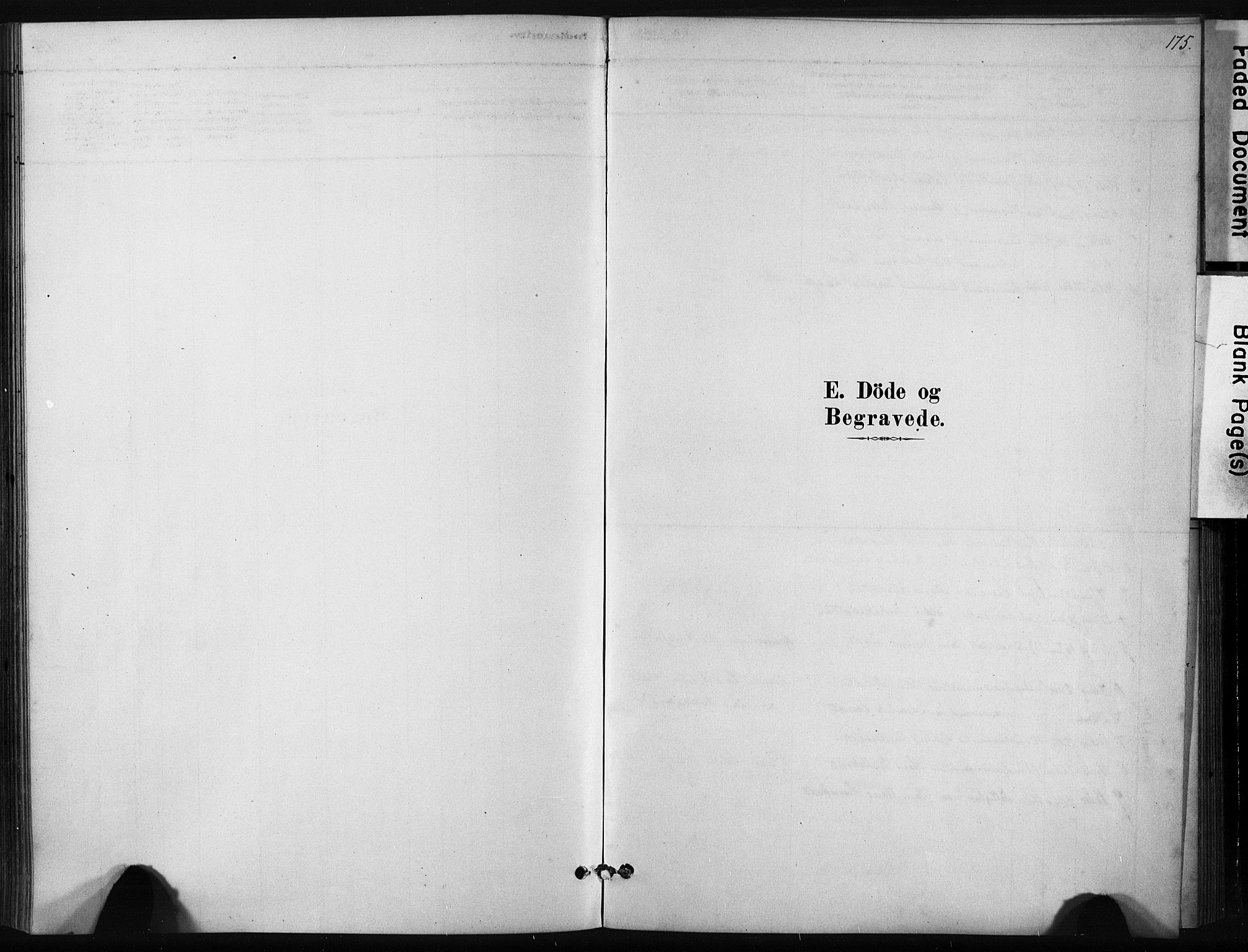 Ministerialprotokoller, klokkerbøker og fødselsregistre - Sør-Trøndelag, AV/SAT-A-1456/631/L0512: Ministerialbok nr. 631A01, 1879-1912, s. 175