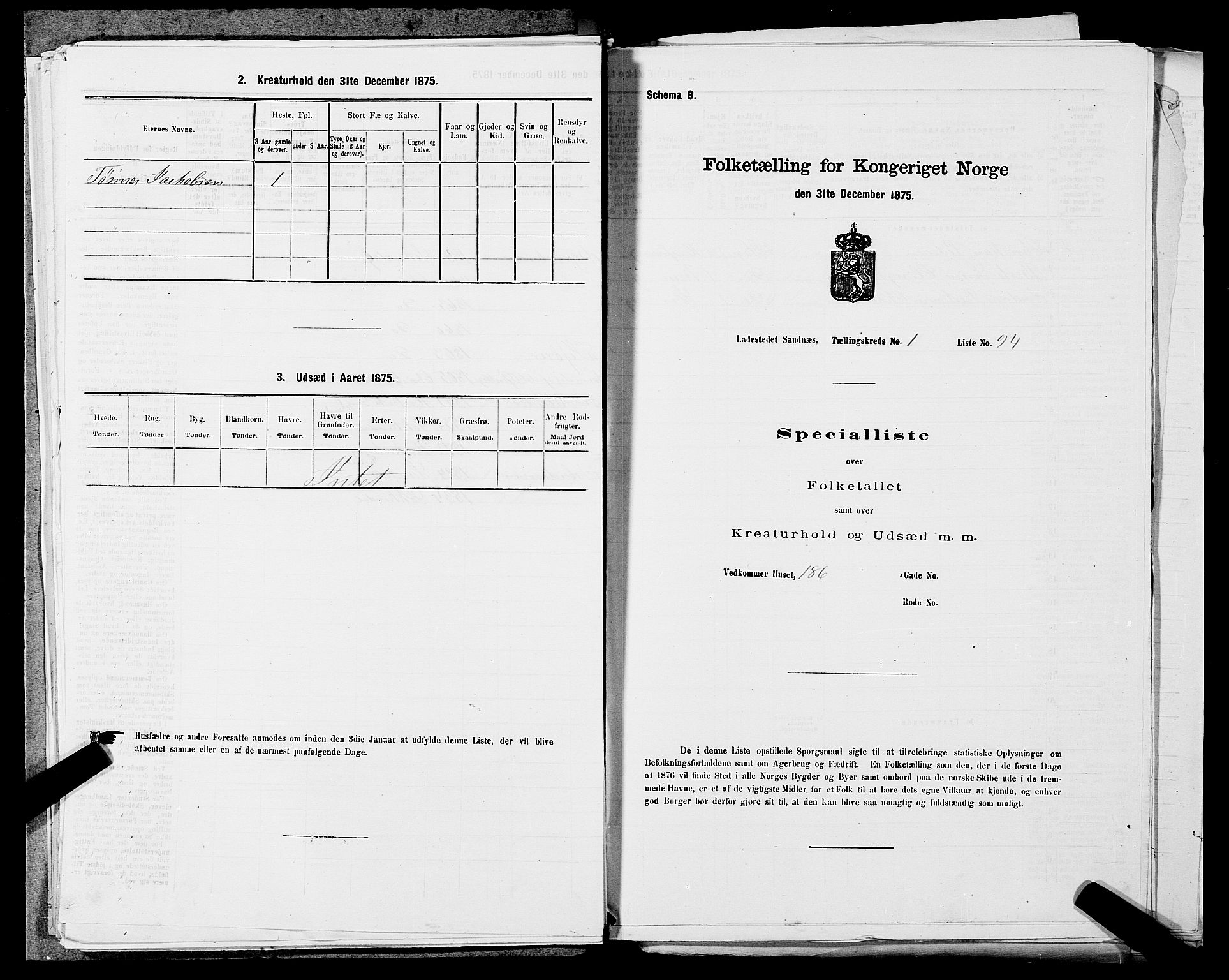 SAST, Folketelling 1875 for 1102B Høyland prestegjeld, Sandnes ladested, 1875, s. 197