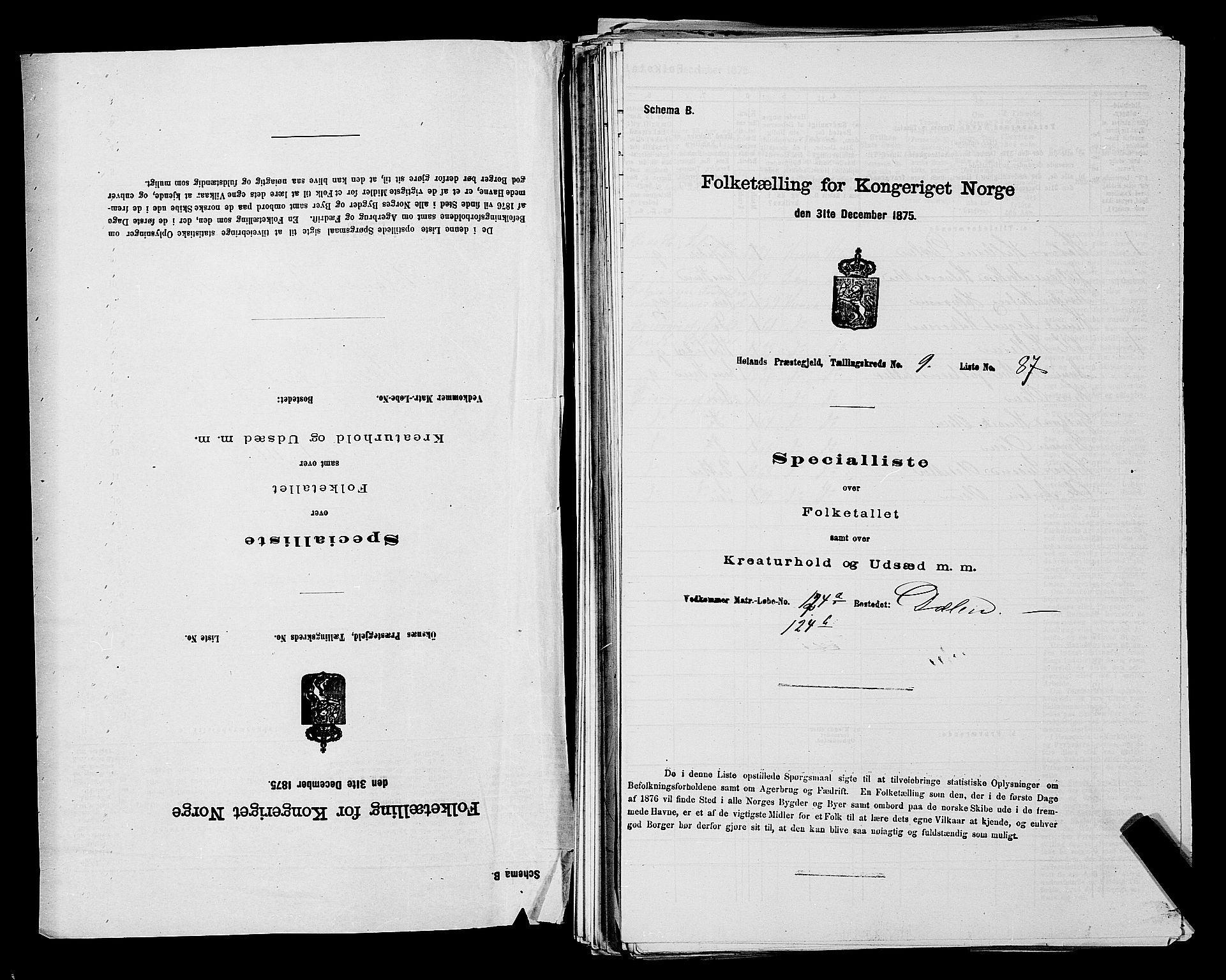 RA, Folketelling 1875 for 0221P Høland prestegjeld, 1875, s. 1625