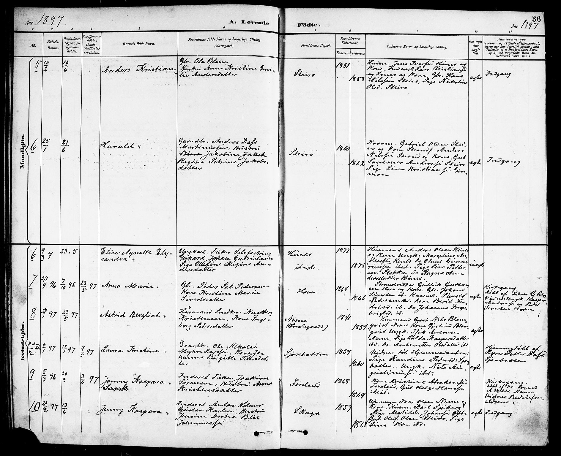 Ministerialprotokoller, klokkerbøker og fødselsregistre - Nordland, SAT/A-1459/838/L0559: Klokkerbok nr. 838C06, 1893-1910, s. 36