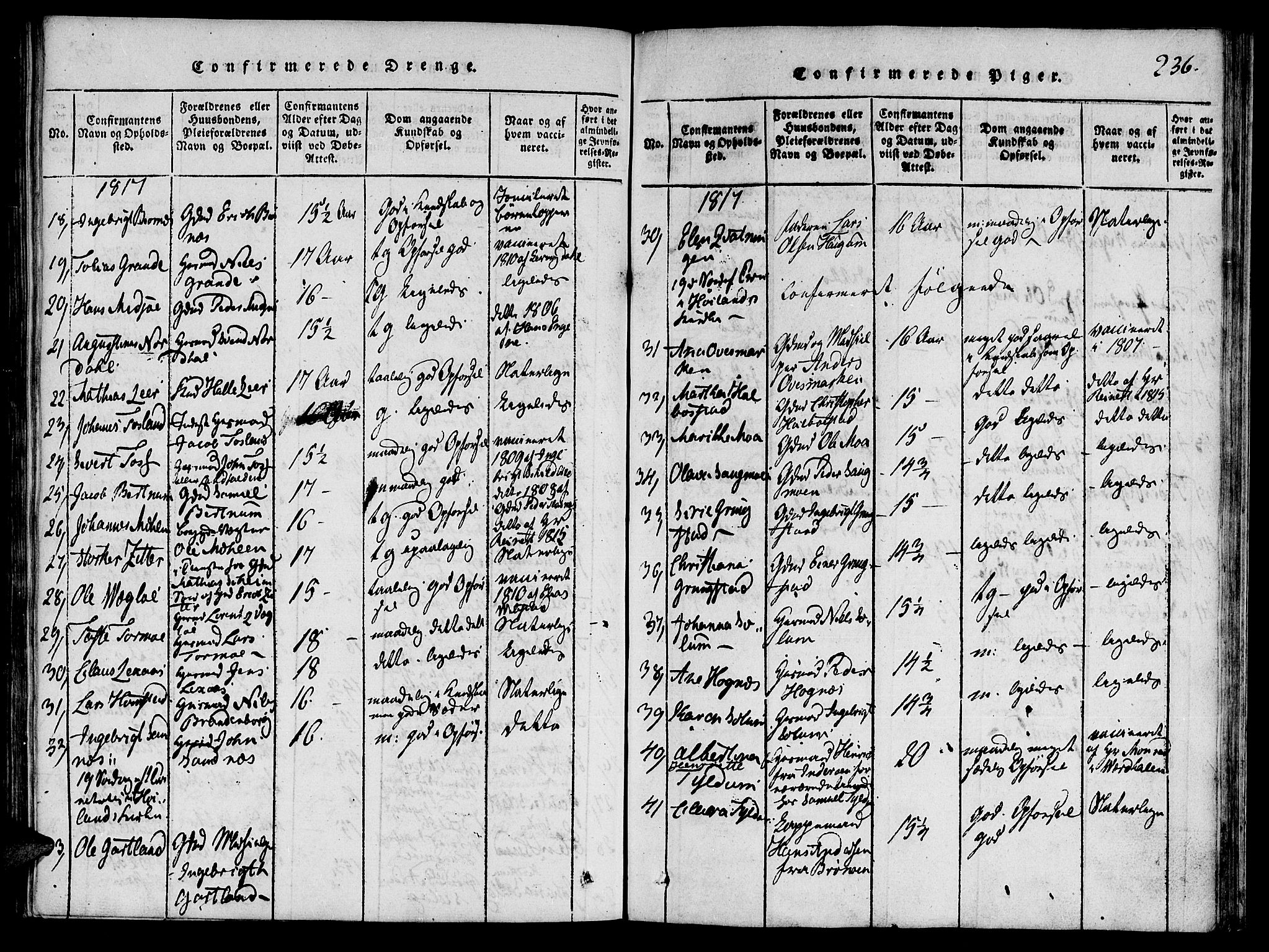 Ministerialprotokoller, klokkerbøker og fødselsregistre - Nord-Trøndelag, SAT/A-1458/764/L0546: Ministerialbok nr. 764A06 /1, 1816-1823, s. 236