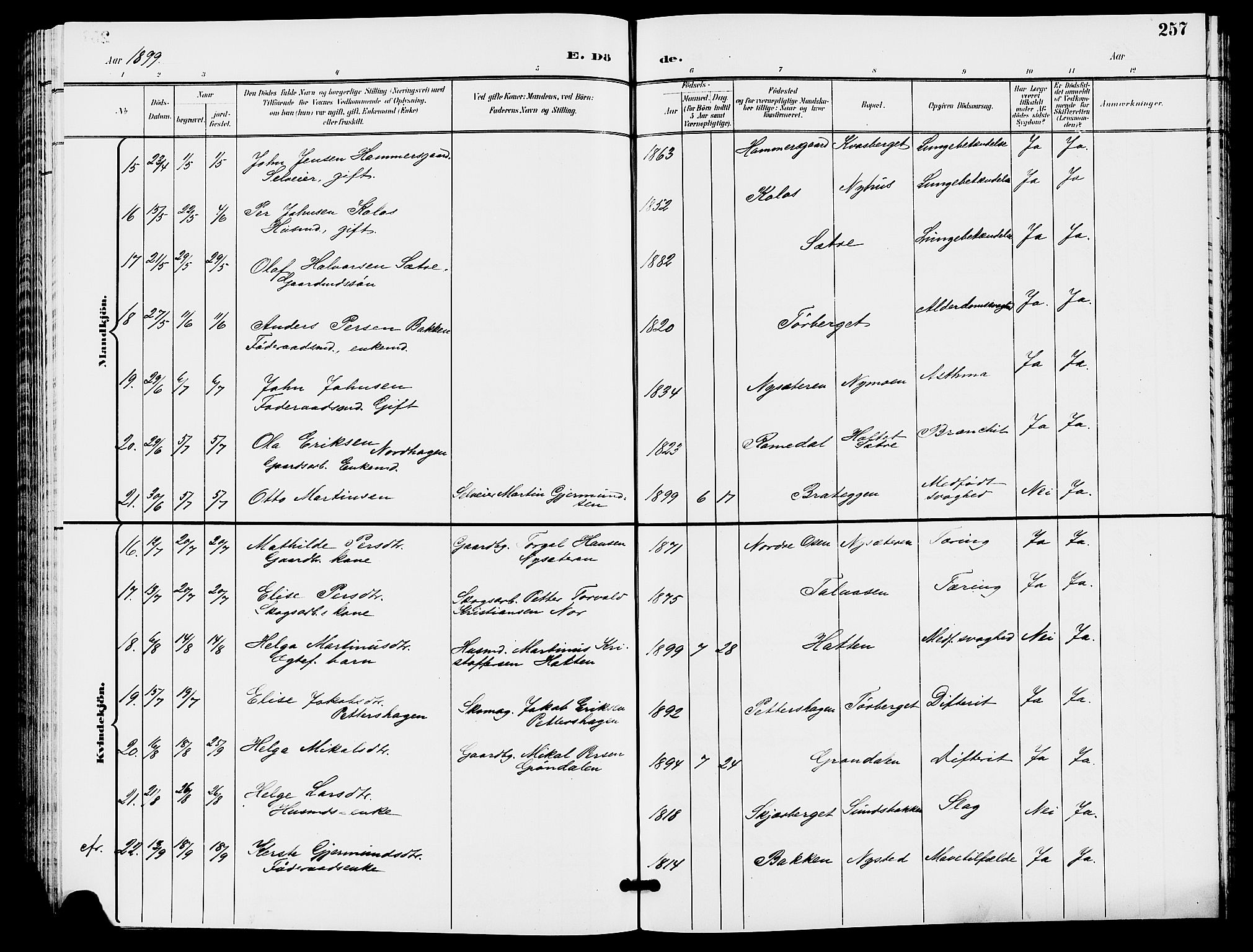 Trysil prestekontor, AV/SAH-PREST-046/H/Ha/Hab/L0006: Klokkerbok nr. 6, 1896-1912, s. 257