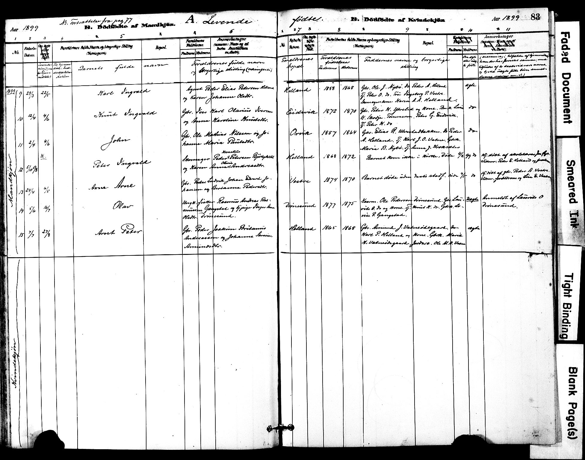 Ministerialprotokoller, klokkerbøker og fødselsregistre - Møre og Romsdal, SAT/A-1454/525/L0374: Ministerialbok nr. 525A04, 1880-1899, s. 83
