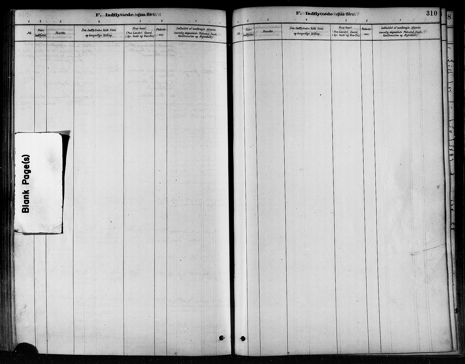 Ministerialprotokoller, klokkerbøker og fødselsregistre - Nord-Trøndelag, SAT/A-1458/746/L0449: Ministerialbok nr. 746A07 /2, 1878-1899, s. 310