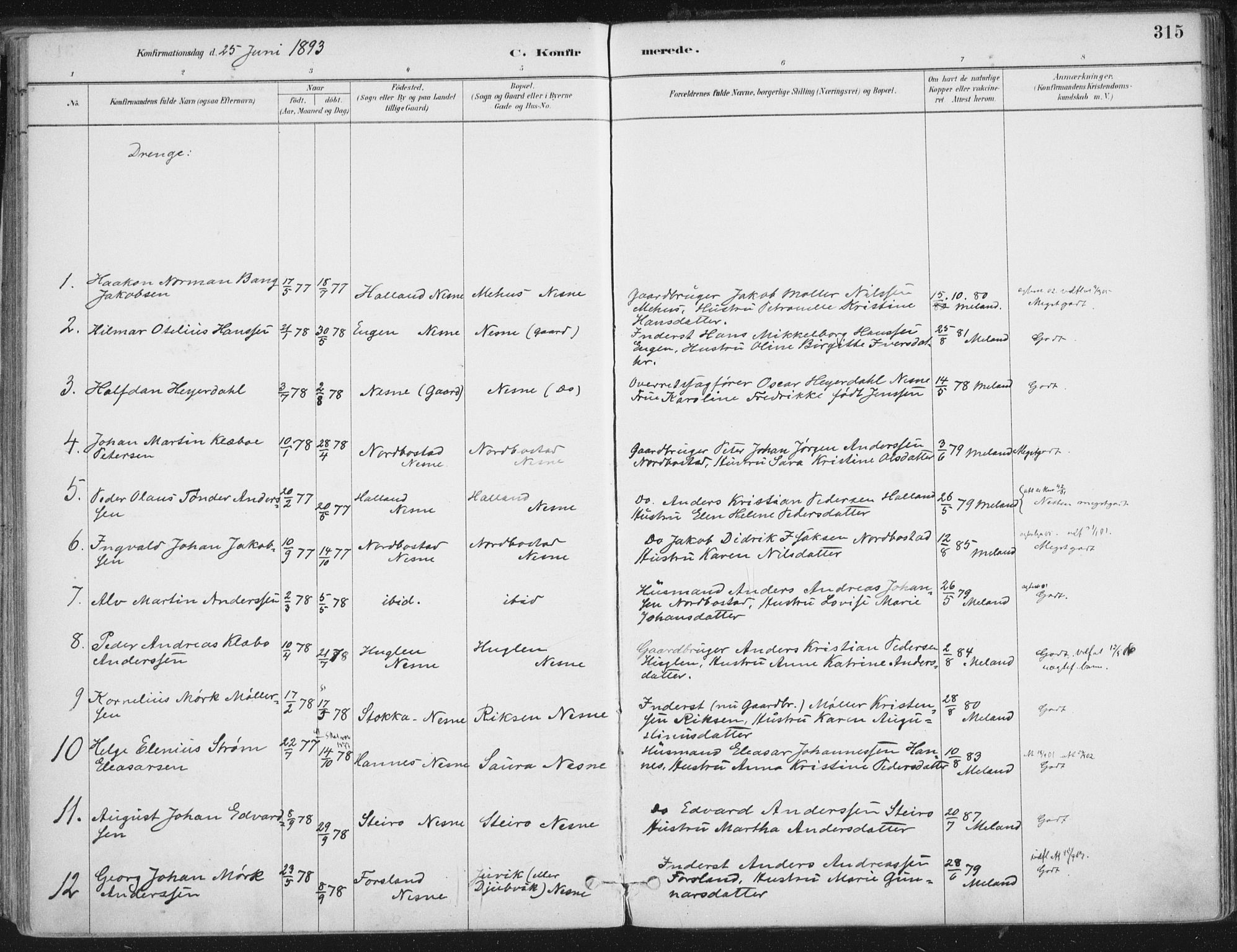 Ministerialprotokoller, klokkerbøker og fødselsregistre - Nordland, SAT/A-1459/838/L0552: Ministerialbok nr. 838A10, 1880-1910, s. 315
