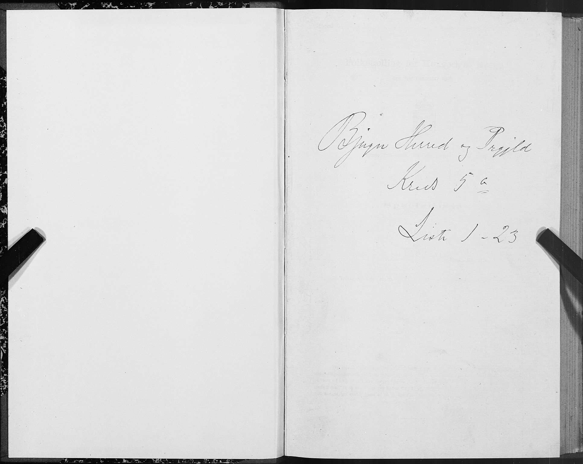 SAT, Folketelling 1875 for 1627P Bjugn prestegjeld, 1875