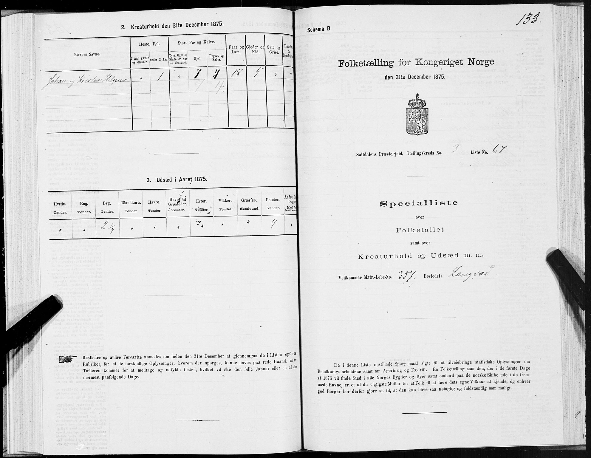 SAT, Folketelling 1875 for 1840P Saltdal prestegjeld, 1875, s. 2133